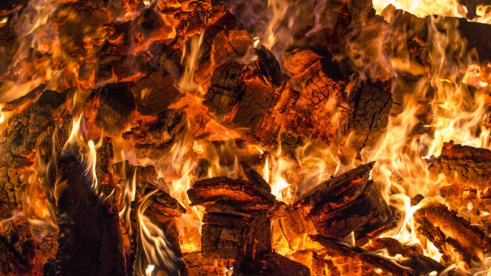 Nikon D3100 sample photo. Fire, brand, flame photography