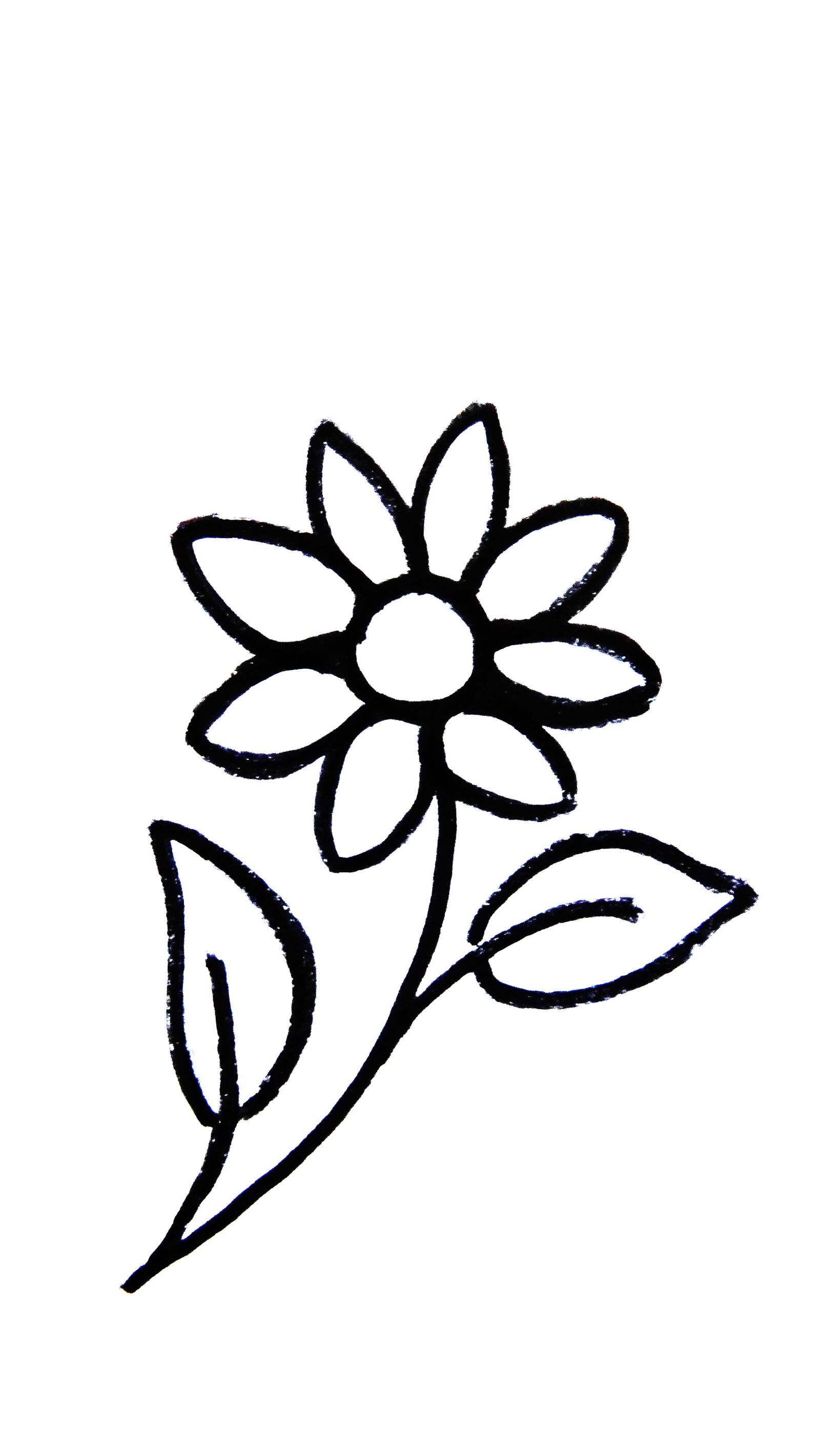 Sony Cyber-shot DSC-HX300 sample photo. Flower, imagine, pattern photography