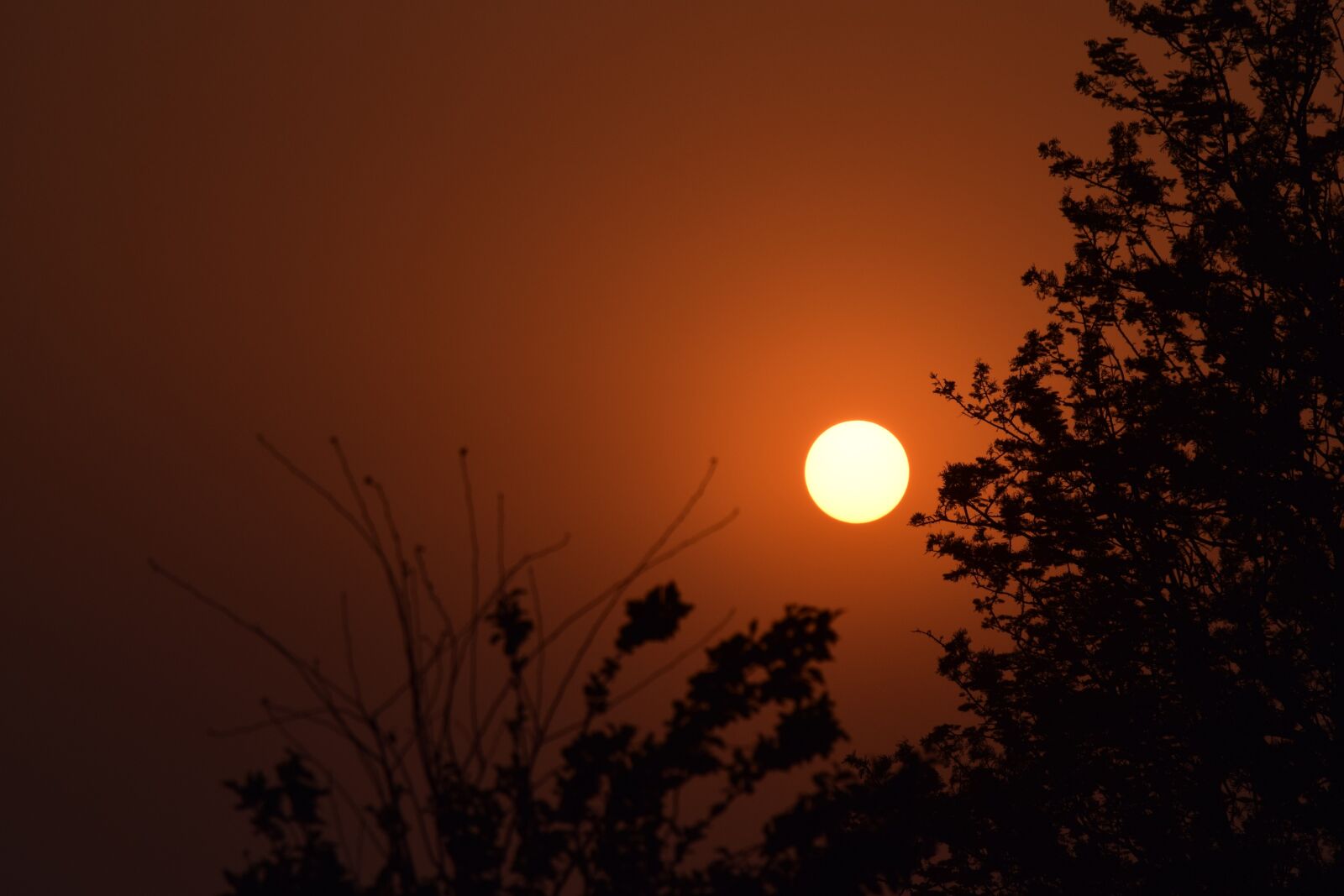 Nikon D3300 sample photo. Nepal, silhouette, sun, sunset photography