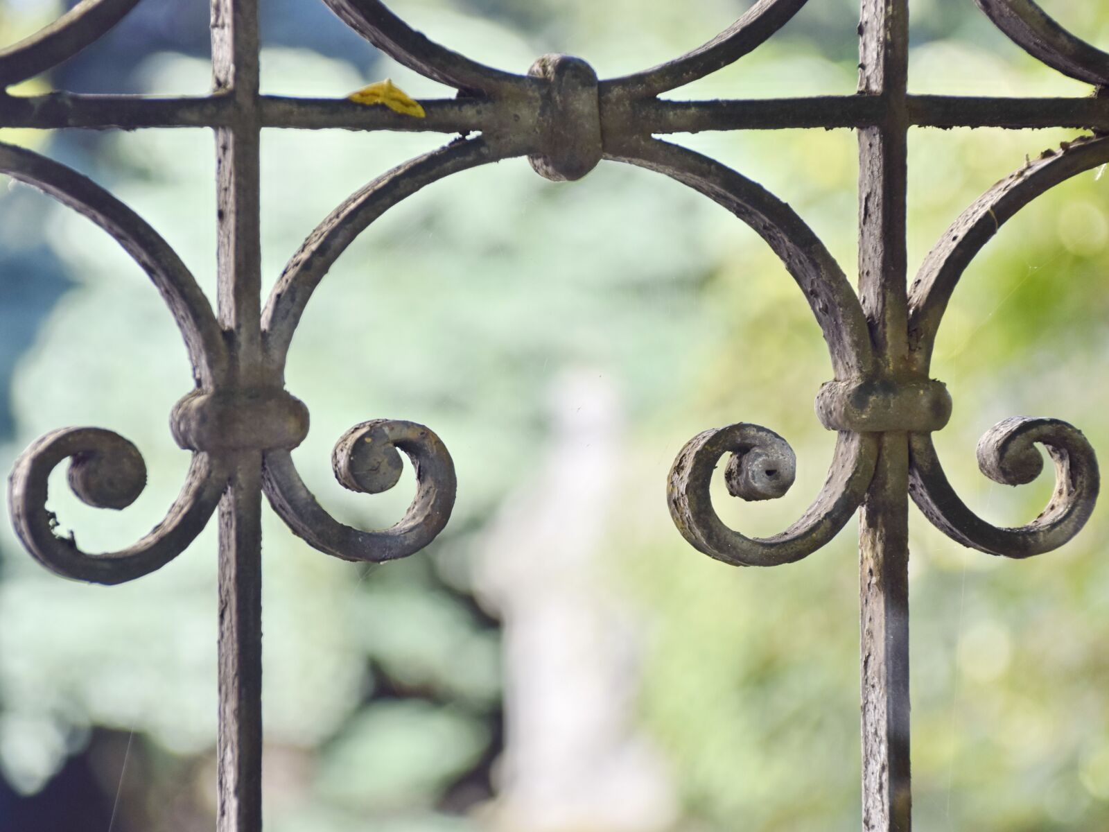 Nikon D5300 sample photo. Historical lattice, detail, old photography