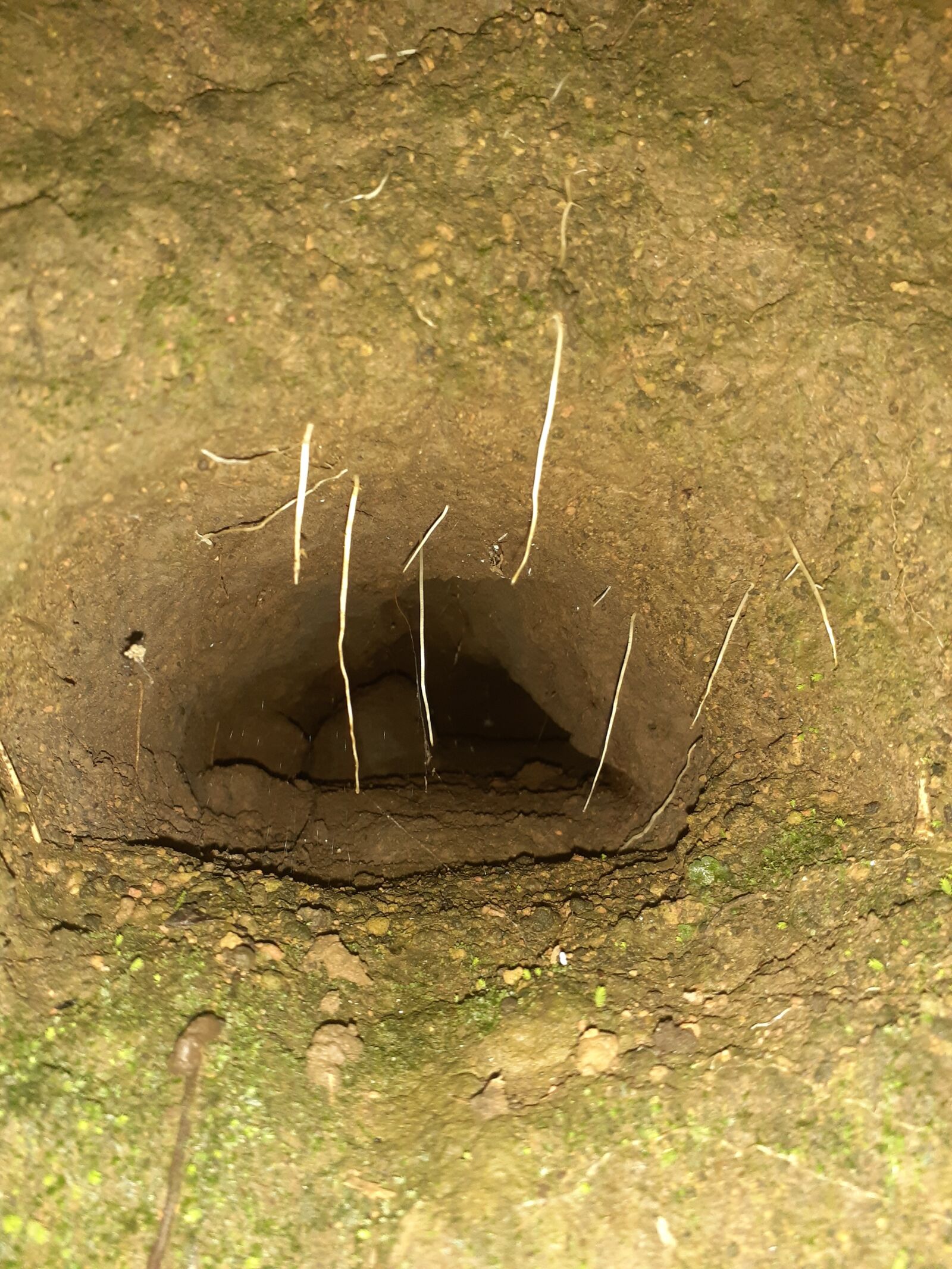 Samsung SM-A205G sample photo. Cavern, caverna, tunel photography