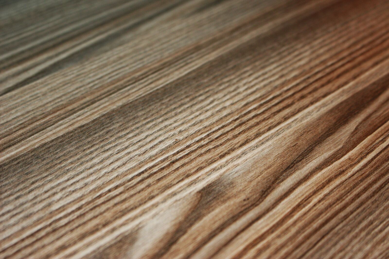 Canon EOS 100D (EOS Rebel SL1 / EOS Kiss X7) sample photo. Wood texture, detail, macro photography