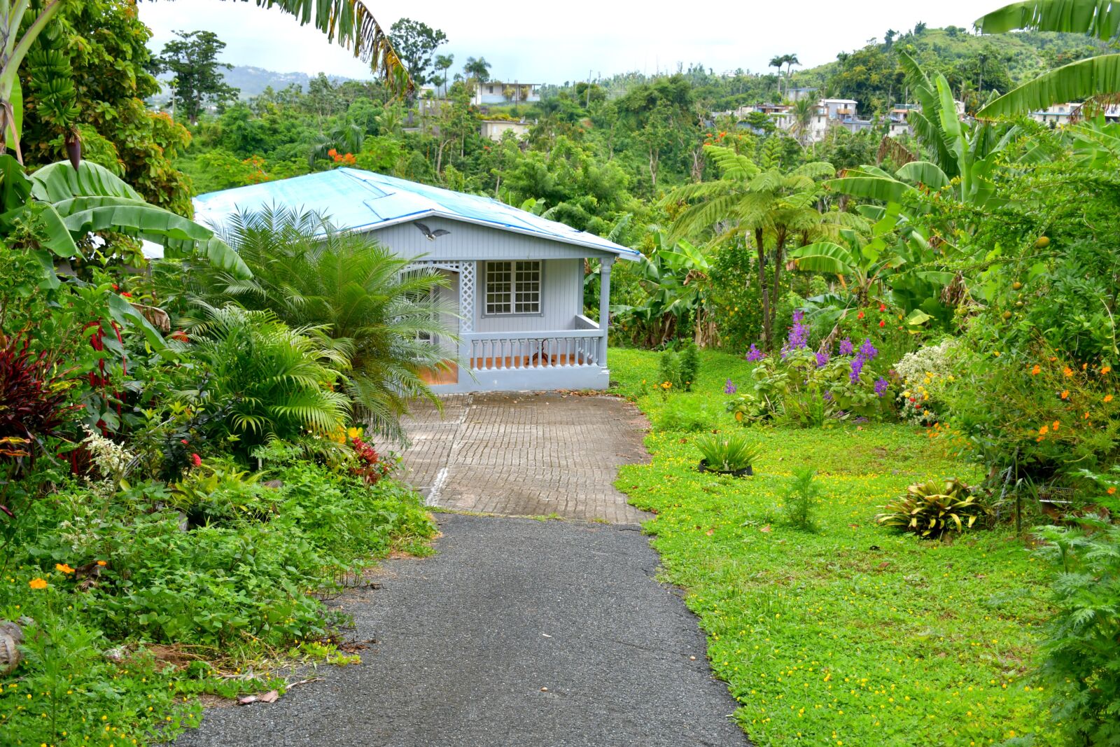 Nikon D7500 sample photo. House, green, garden photography