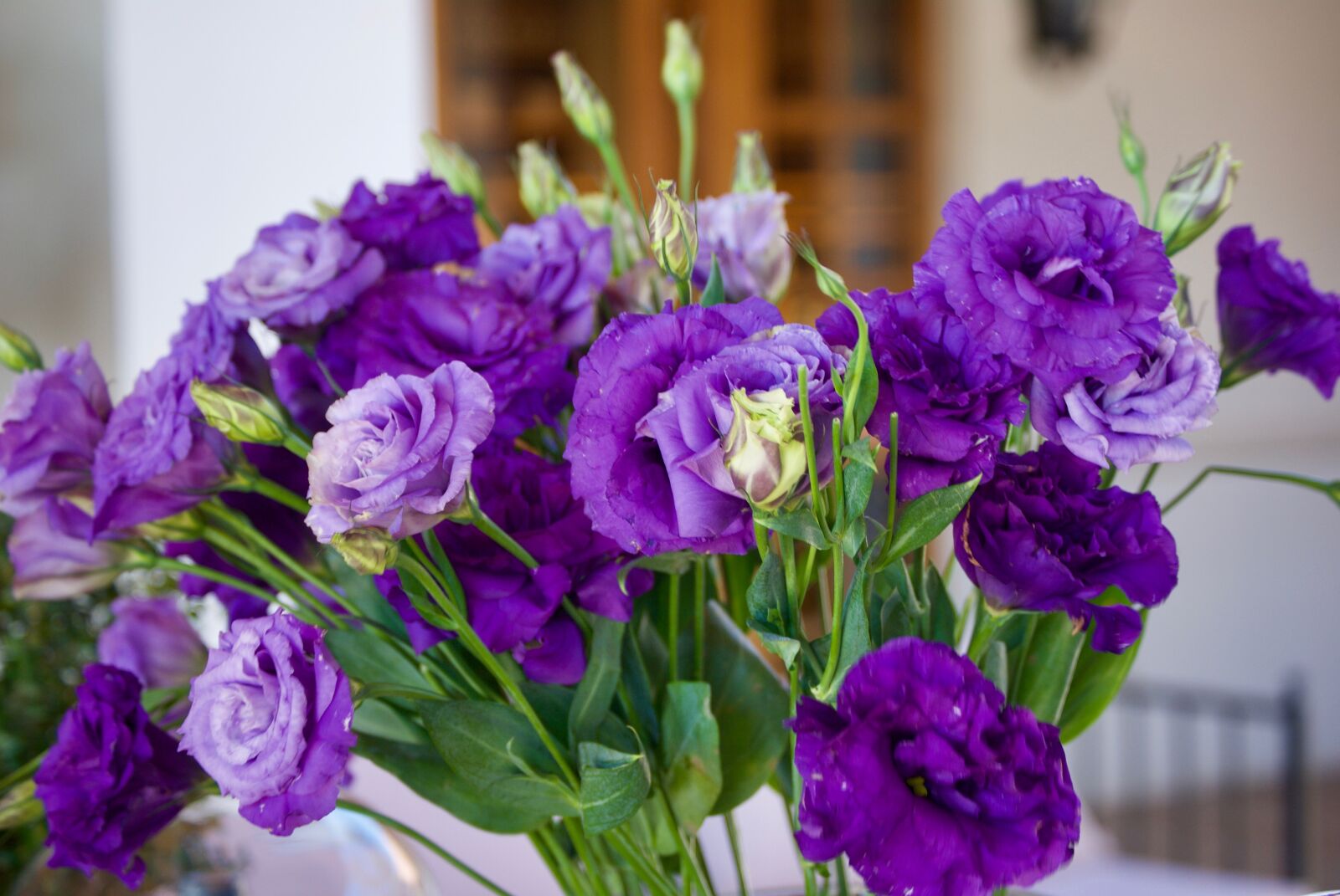 Nikon D3000 sample photo. Flowers, roses, nature photography