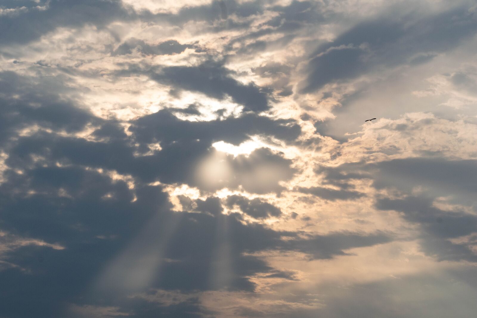 Nikon D3300 sample photo. Sun, sunrise, sunrays photography