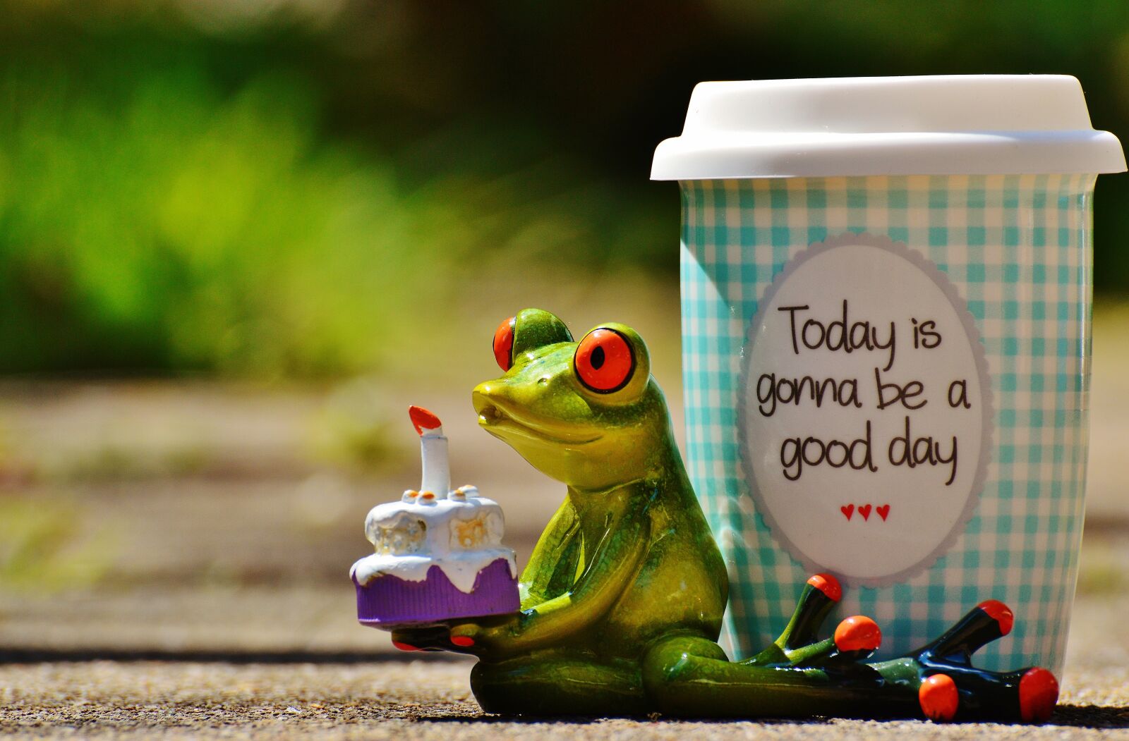 Nikon D3200 sample photo. Beautiful day, birthday, joy photography