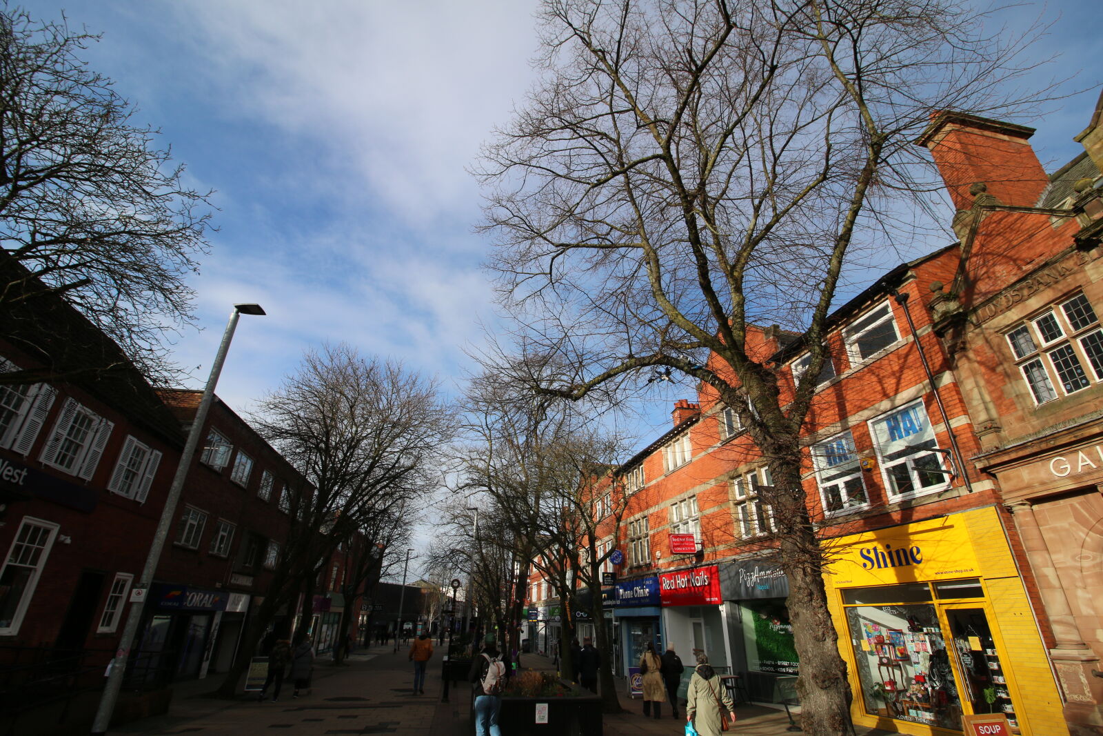 Canon EOS 70D sample photo