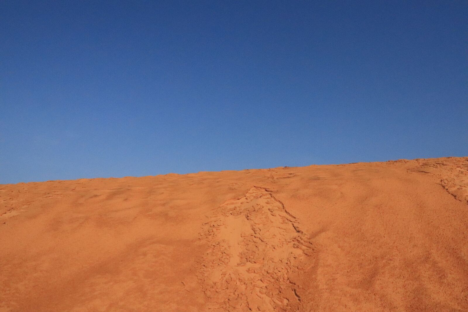 Canon EOS 200D (EOS Rebel SL2 / EOS Kiss X9) sample photo. Desert, sky, dirt photography