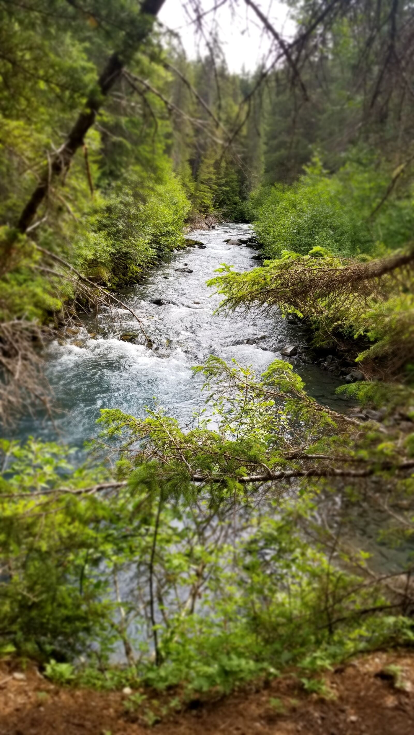 Samsung Galaxy S8 sample photo. Alaska, blue, water, calm photography