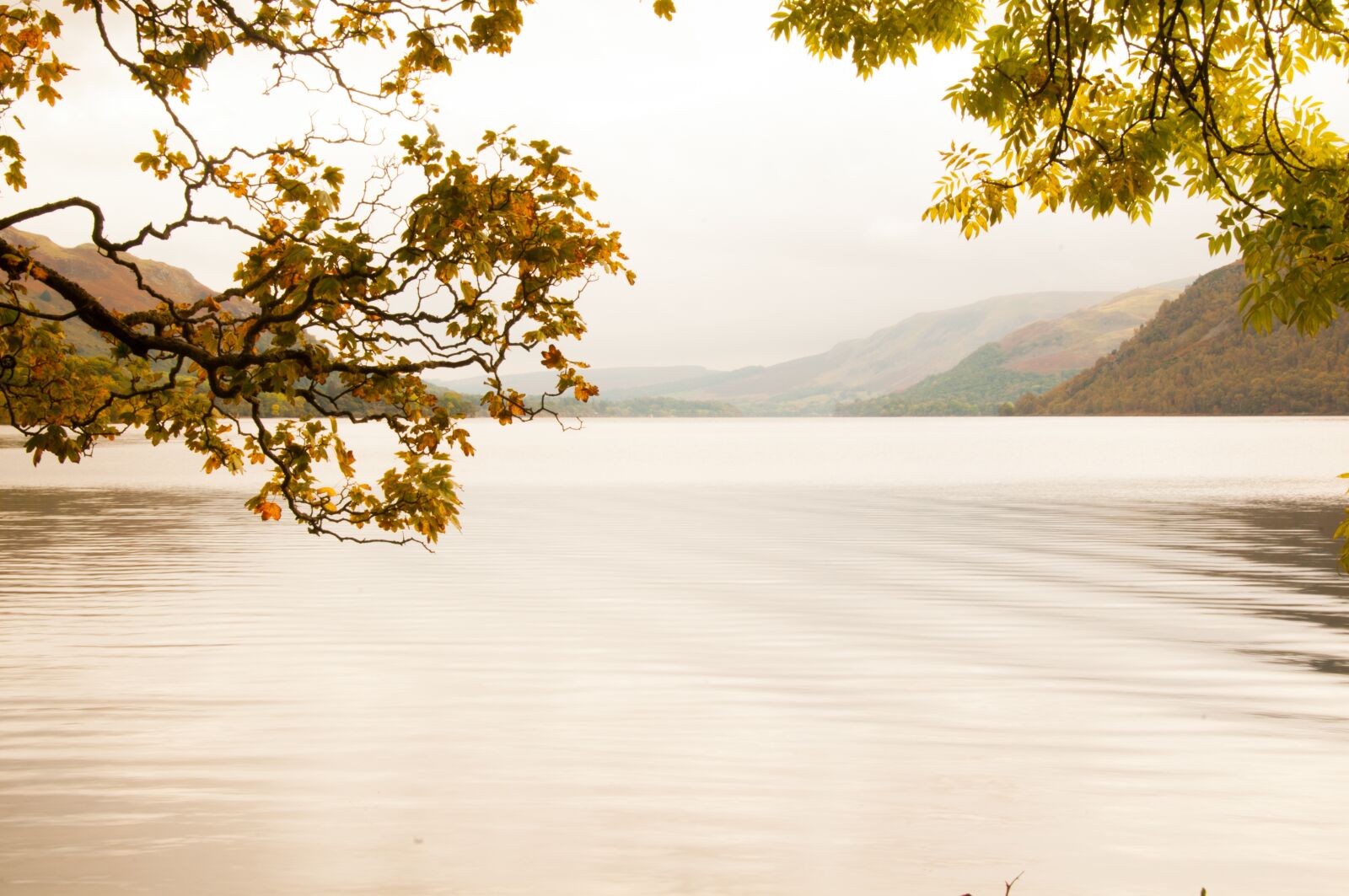 Nikon D300 sample photo. Lake, sunlight, water photography