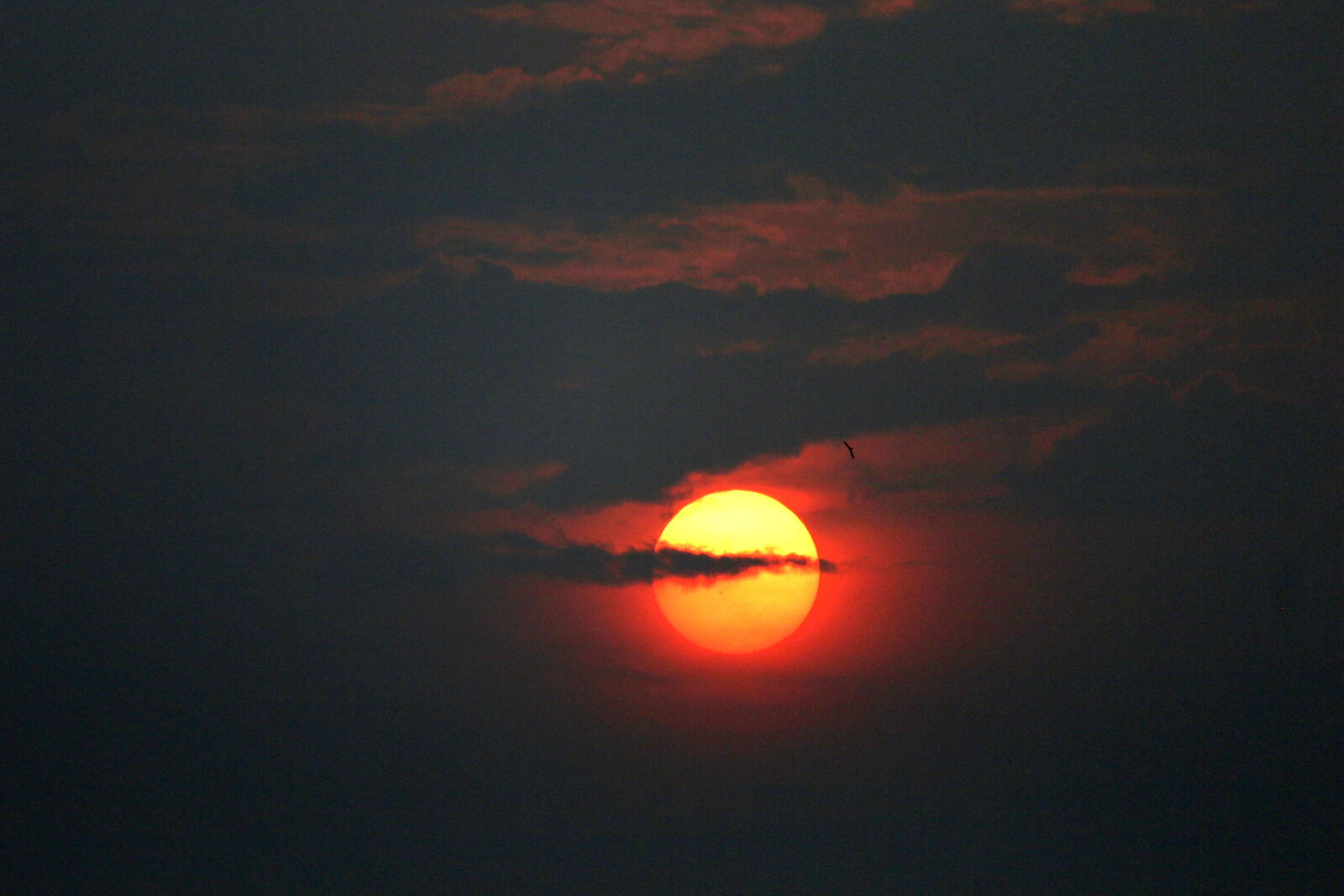 Canon EOS 700D (EOS Rebel T5i / EOS Kiss X7i) sample photo. Sunset photography