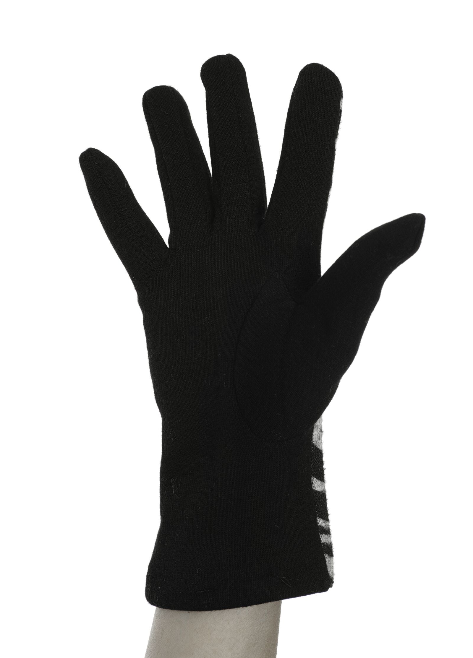 Sigma dp3 Quattro sample photo. Black, glove, el photography
