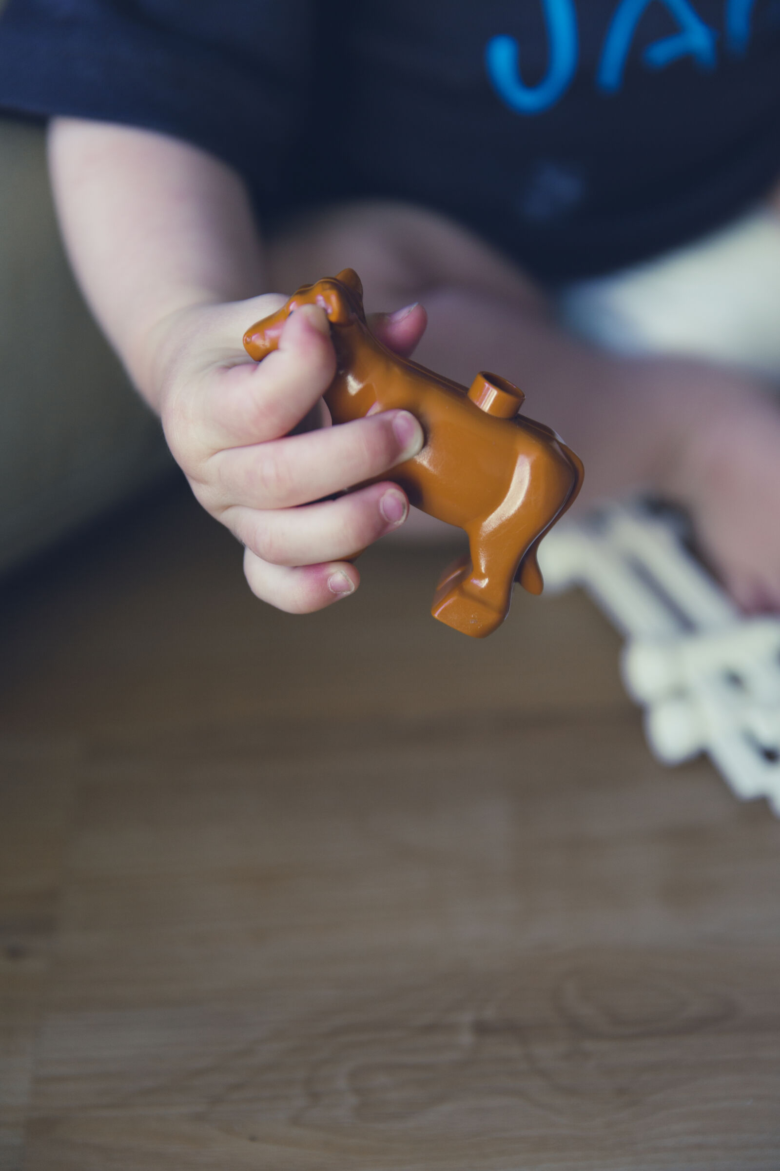 Canon EF 24-70mm F2.8L II USM sample photo. Hand, playing, child, fun photography