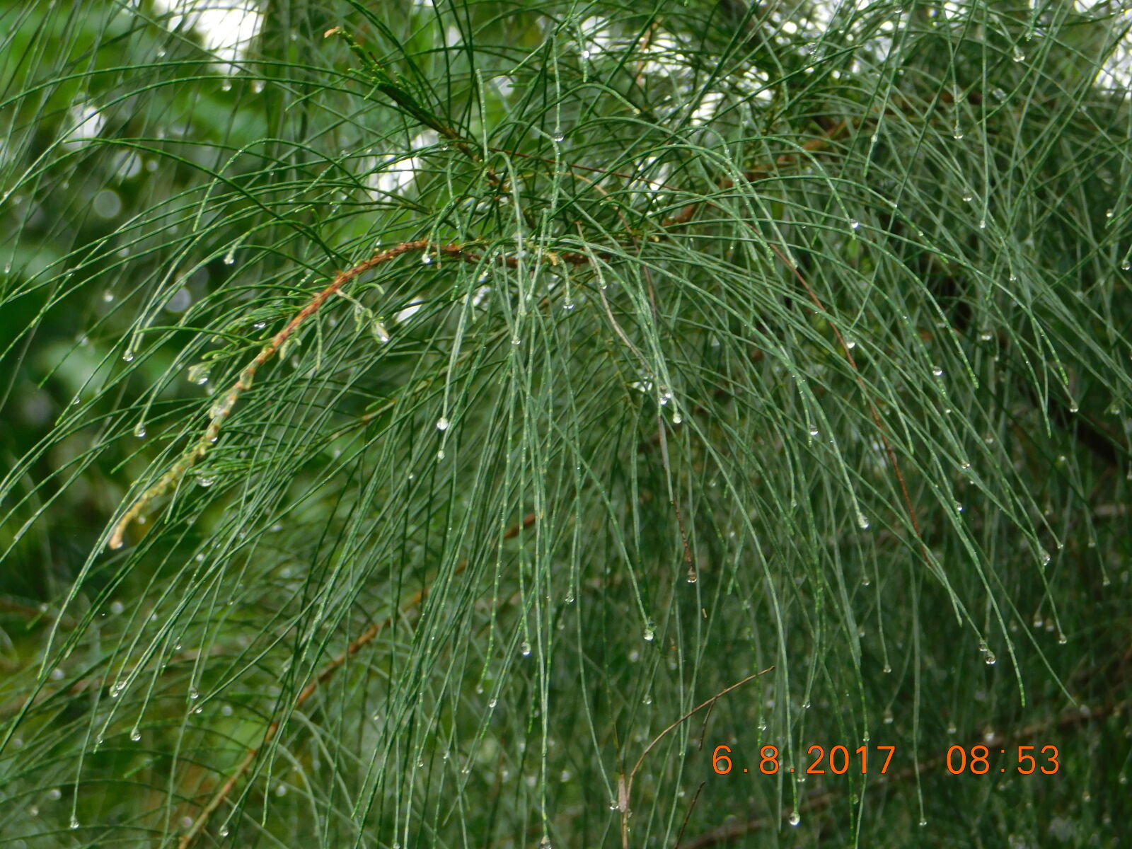 Nikon Coolpix B500 sample photo