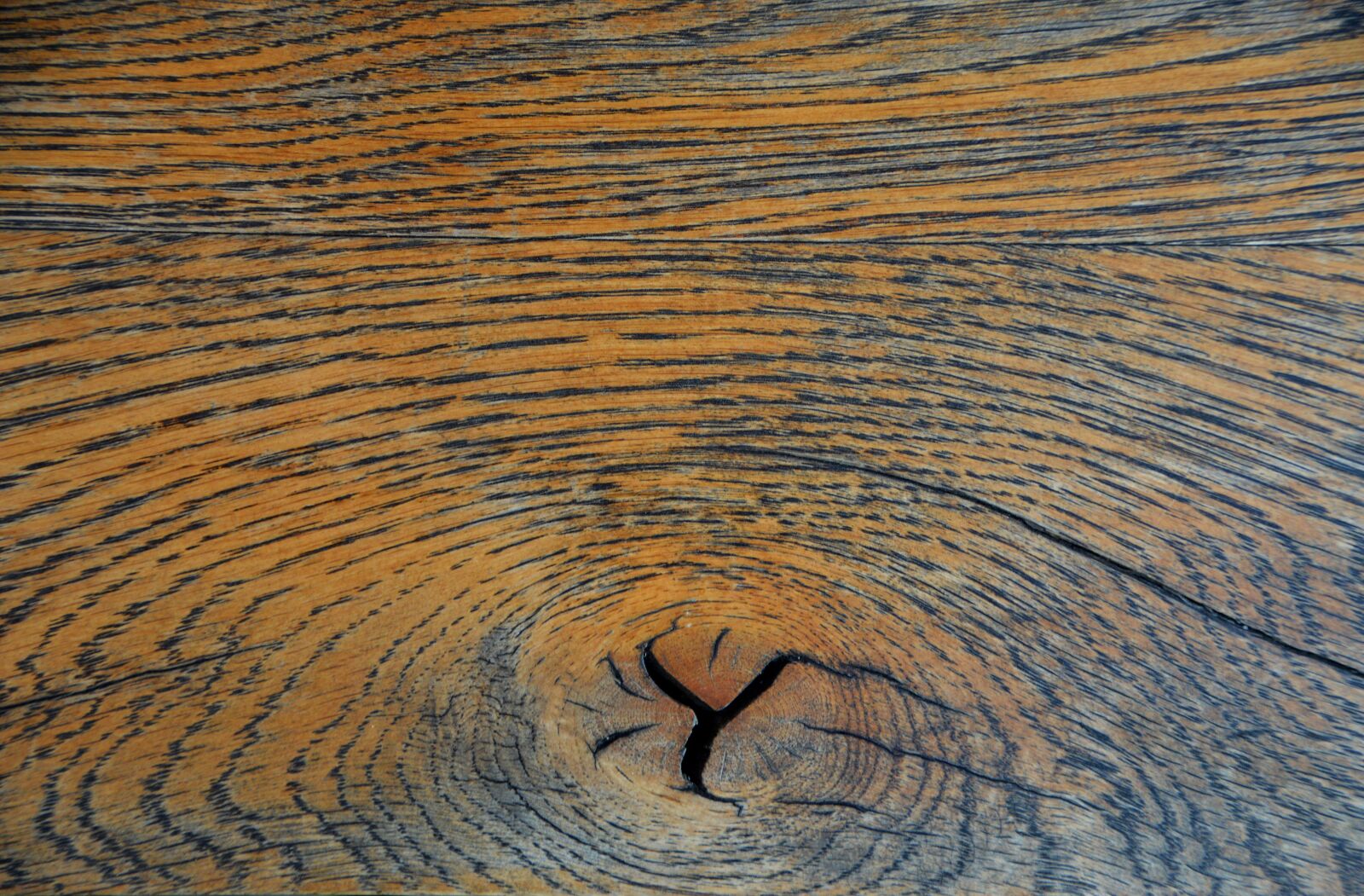 Nikon D3200 sample photo. Oak, knothole, parquet photography