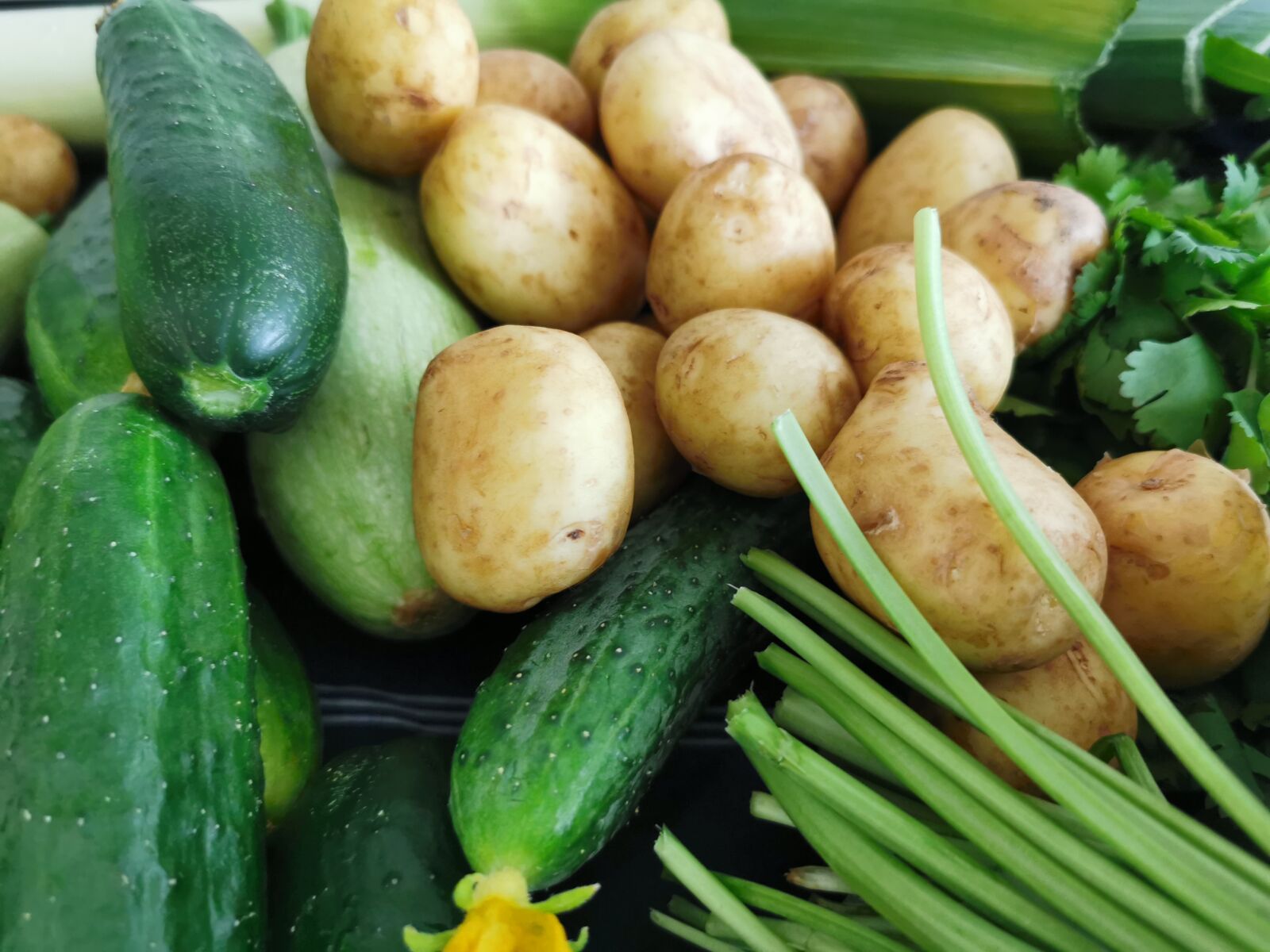 HUAWEI P30 Pro sample photo. Vegetables, cucumbers, potatoes photography