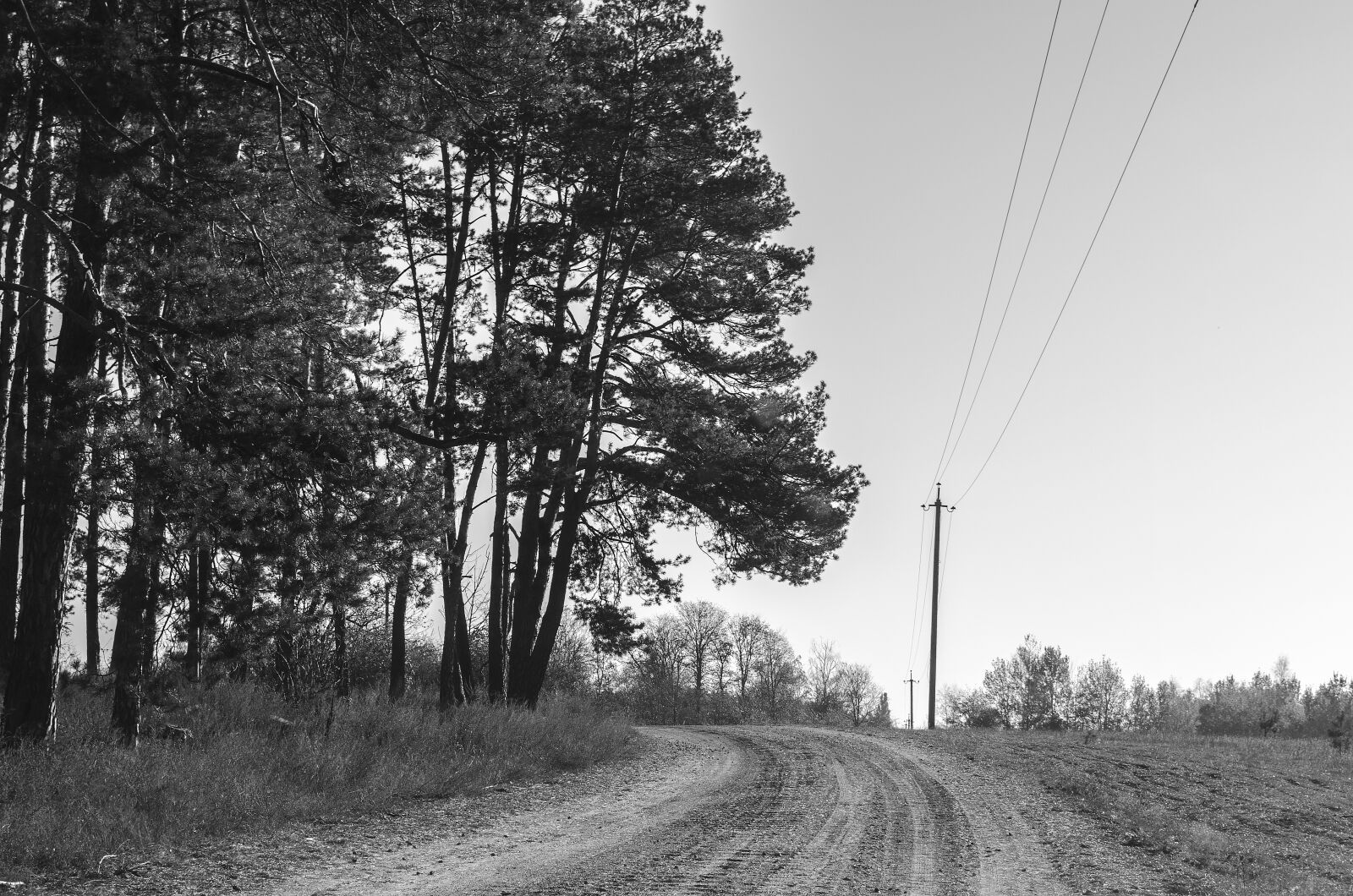 Nikon D5100 sample photo. Road, loneliness, bankrupt photography