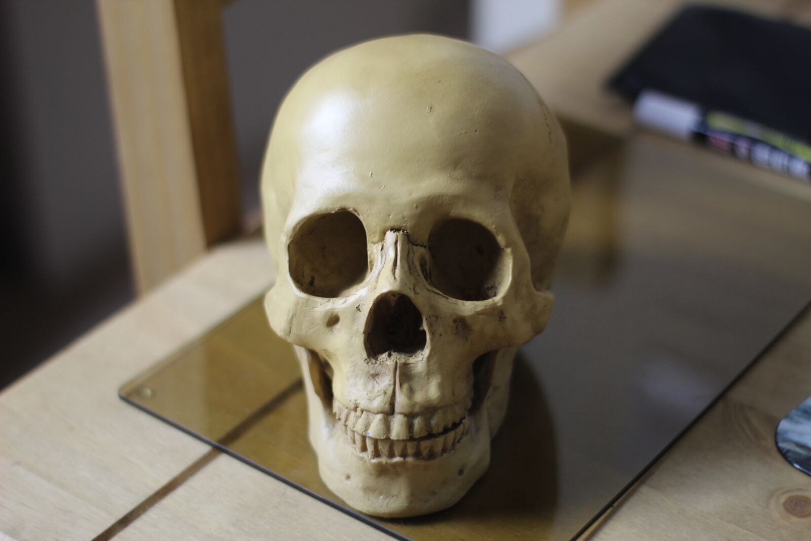 Canon EOS 4000D (EOS Rebel T100 / EOS 3000D) sample photo. Replica skull, human head photography