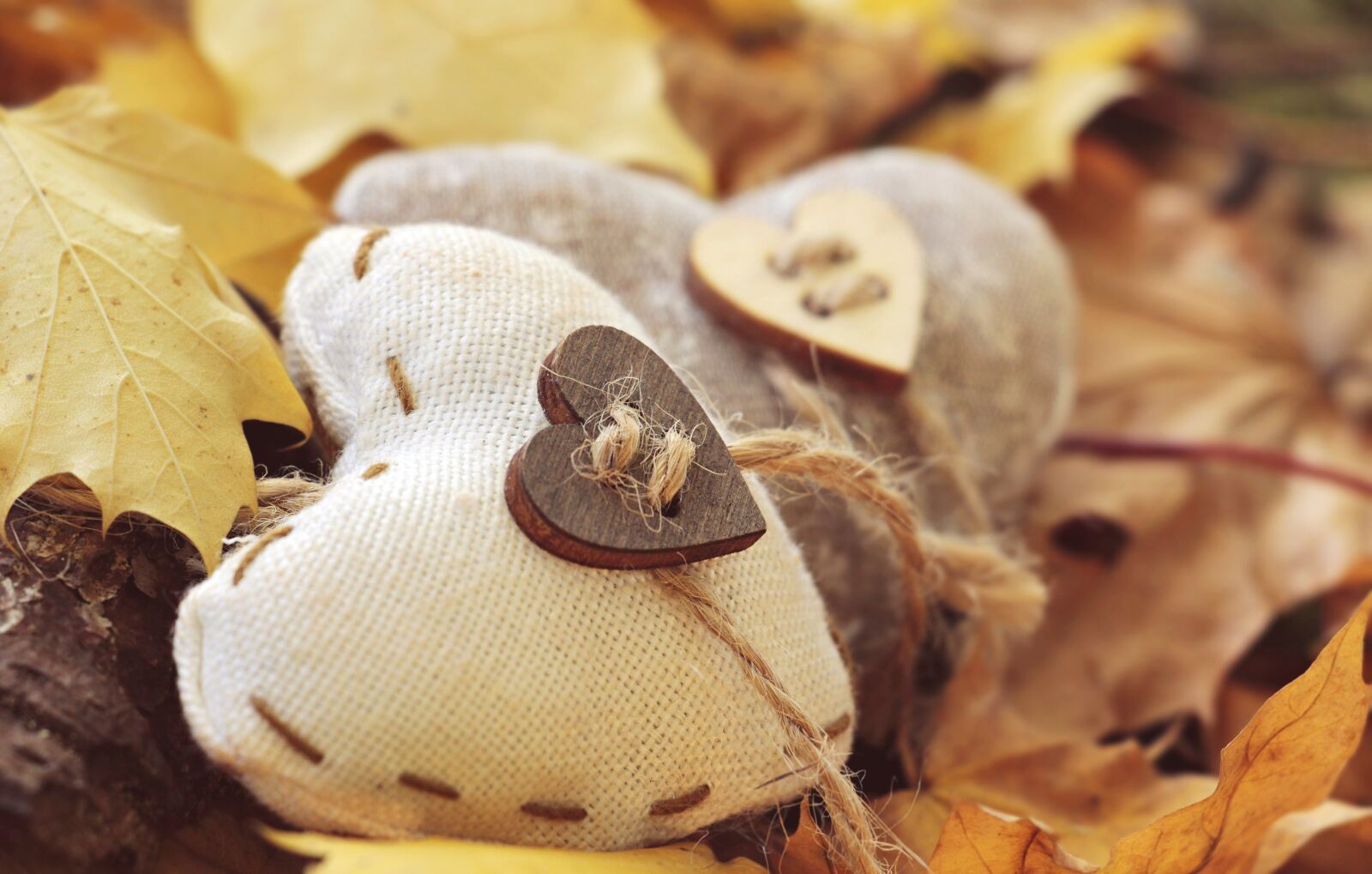 Canon EOS 100D (EOS Rebel SL1 / EOS Kiss X7) sample photo. Heart, autumn, leaves photography