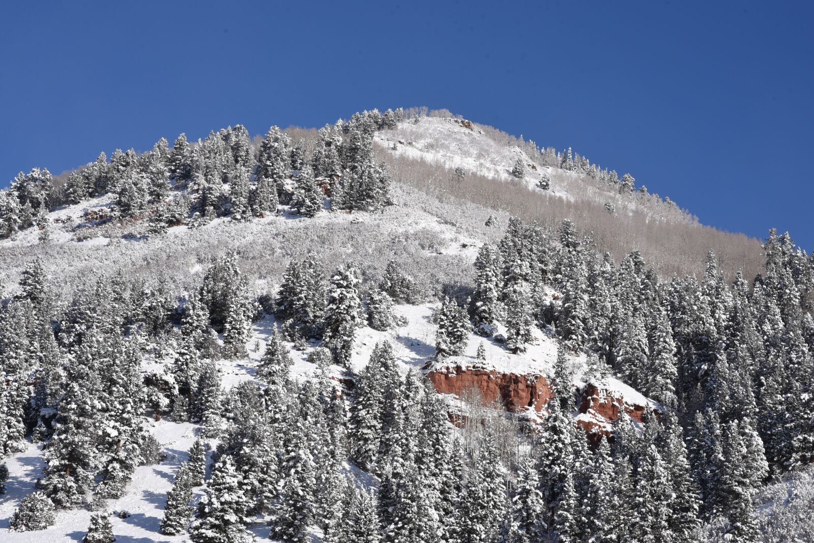 Nikon D750 sample photo. Telluride, colorado, ski photography