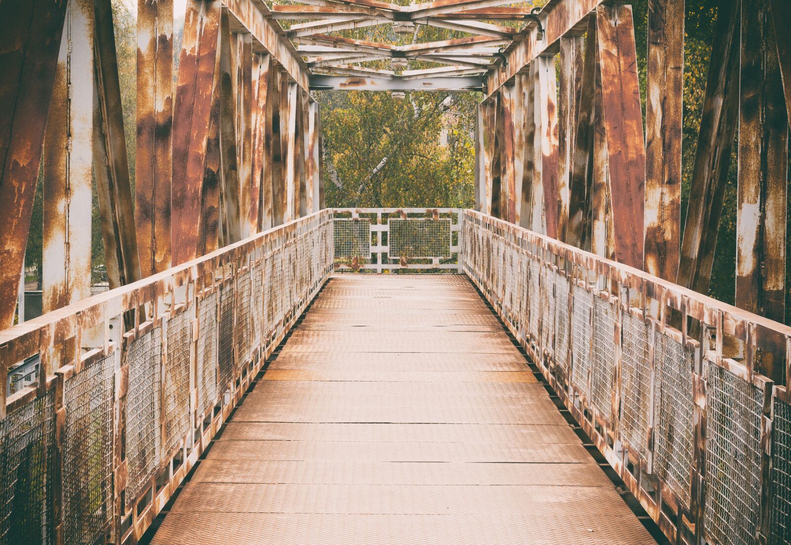 Canon EOS 700D (EOS Rebel T5i / EOS Kiss X7i) sample photo. Bridge, iron, transition photography