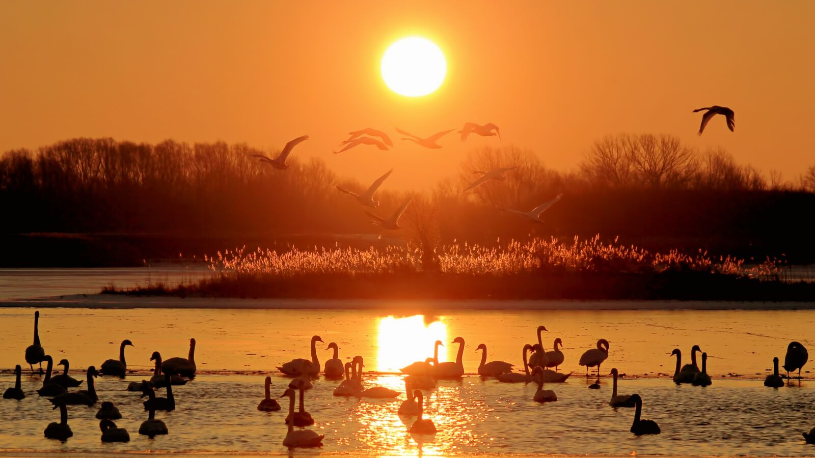 Canon EF-S 55-250mm F4-5.6 IS STM sample photo. Landscape, sunrise, lake photography