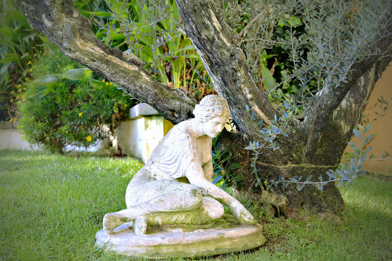 Canon EOS 5D Mark III sample photo. Statue, garden, tree photography