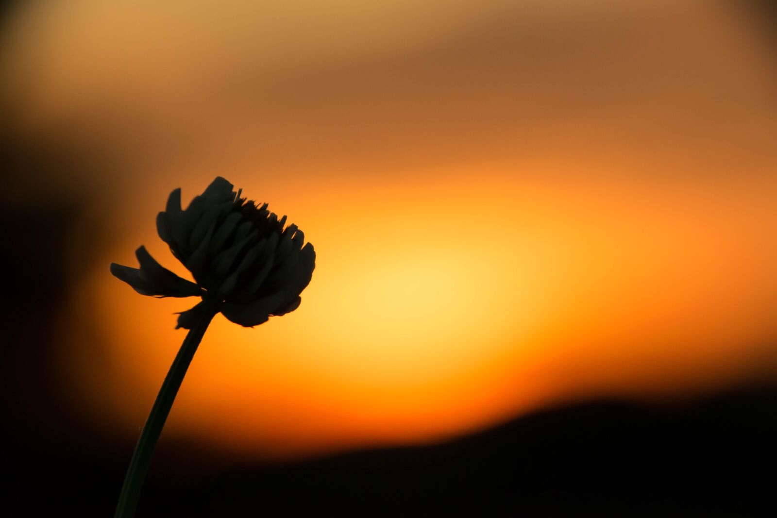 Nikon D3300 sample photo. Klee, sunset, sky photography