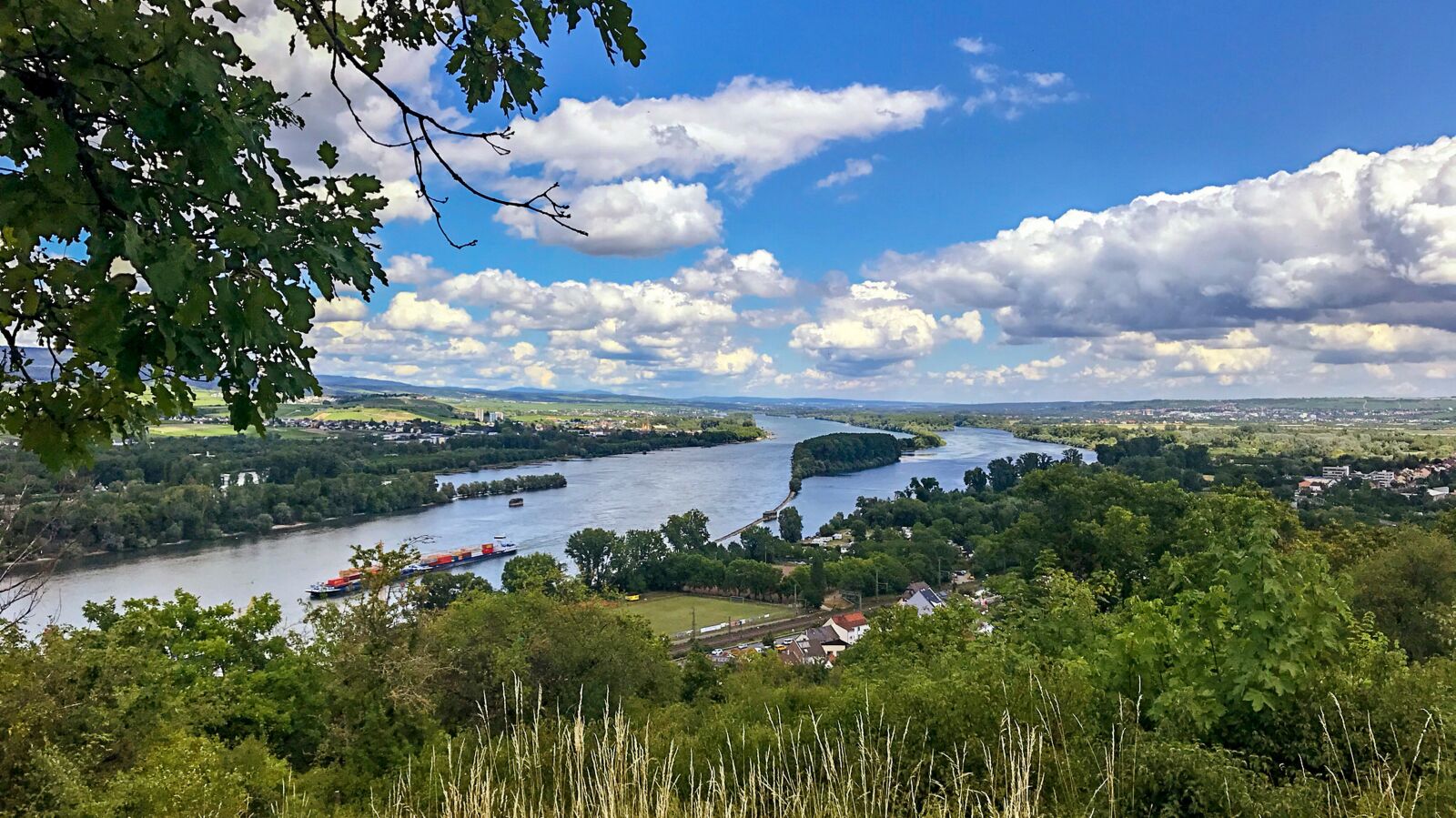 iPhone 7 back camera 3.99mm f/1.8 sample photo. Rhine, rheinauen, landscape photography