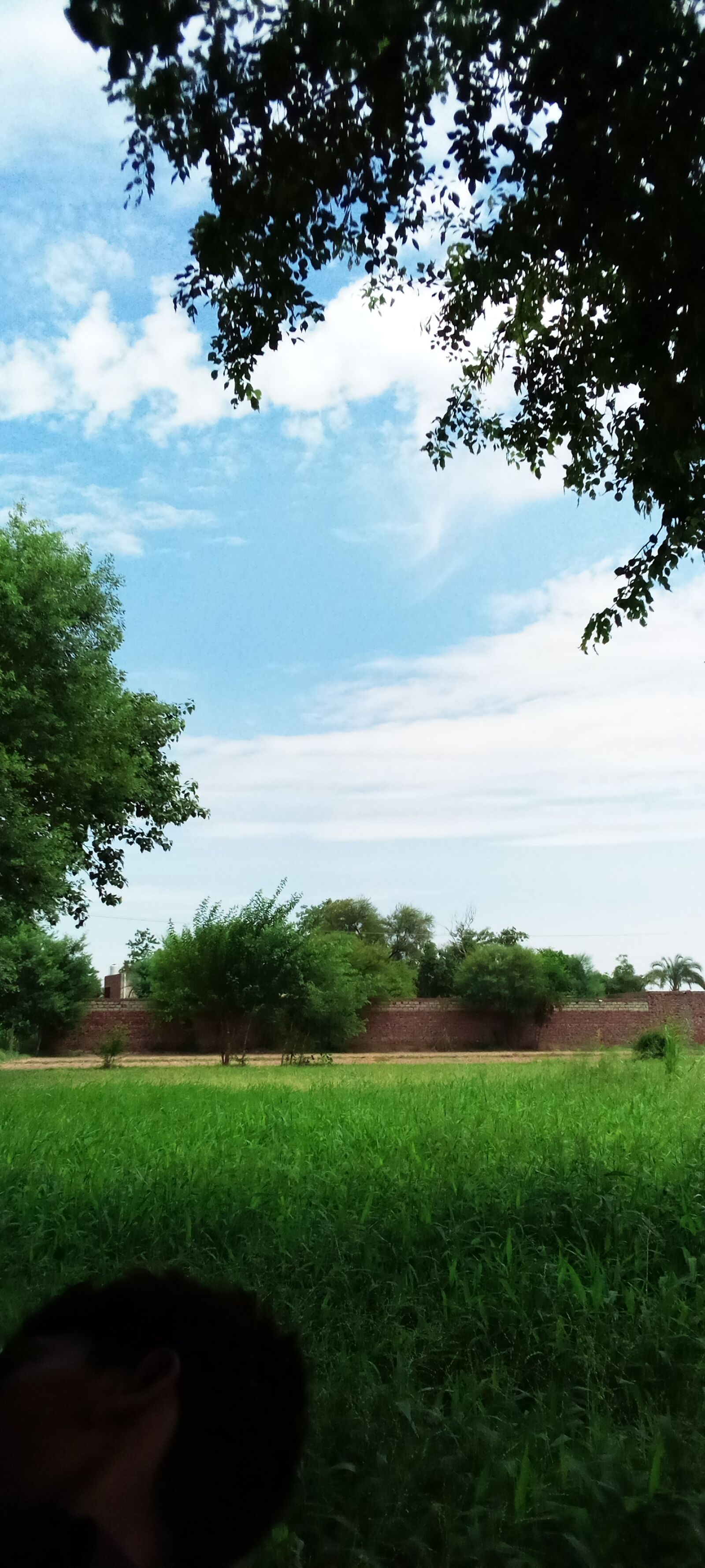 INFINIX MOBILITY LIMITED Infinix X653C sample photo. Natural, wallpaper, scenery photography