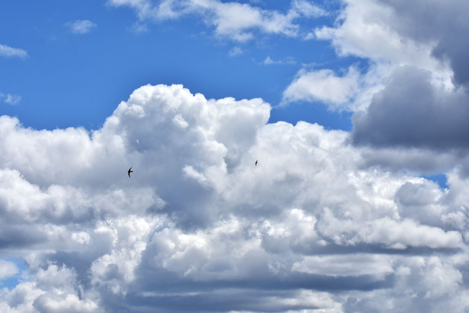 Nikon D7200 sample photo. Clouds, sky, cloudiness photography