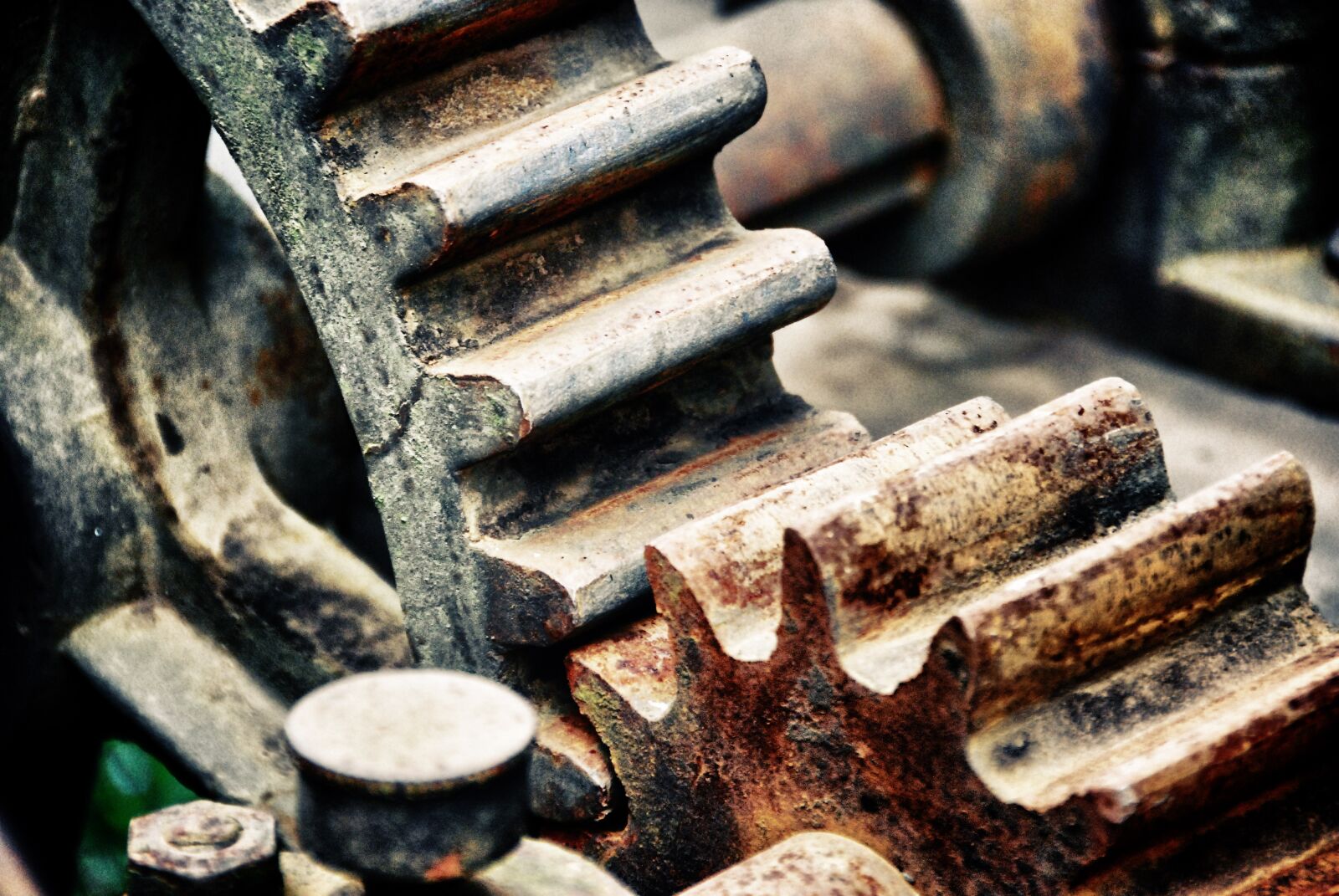 Nikon D60 sample photo. Rusted, gear, gears photography
