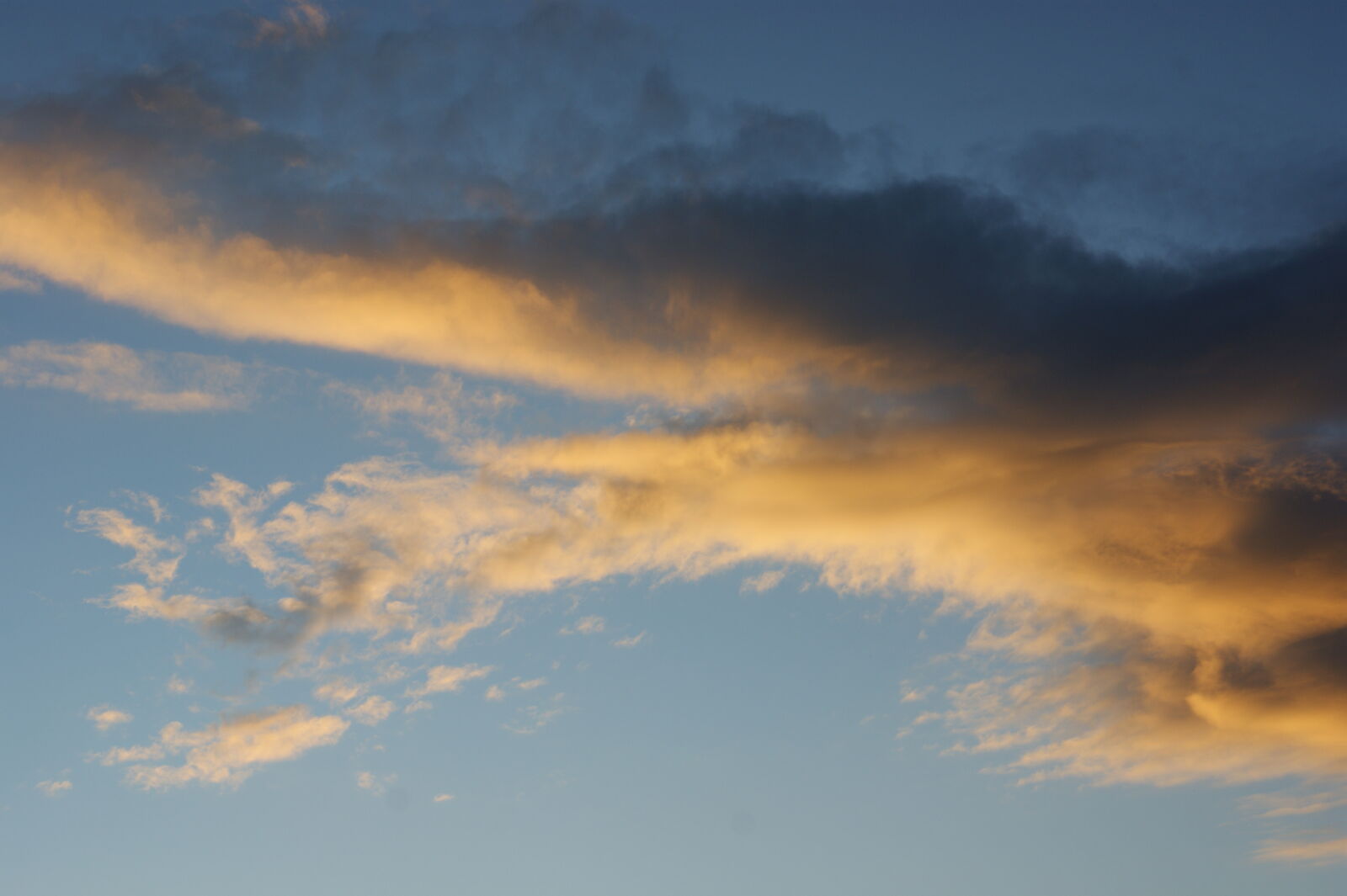 Sony Alpha DSLR-A390 sample photo