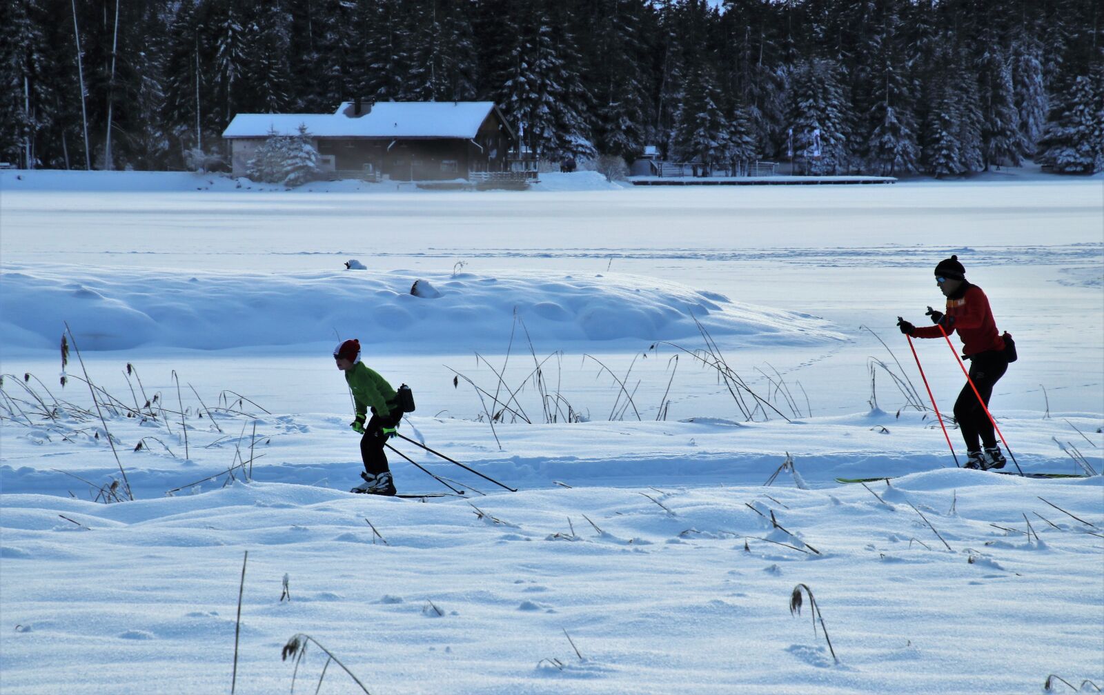 Canon EOS 80D sample photo. Icy, route, skis photography