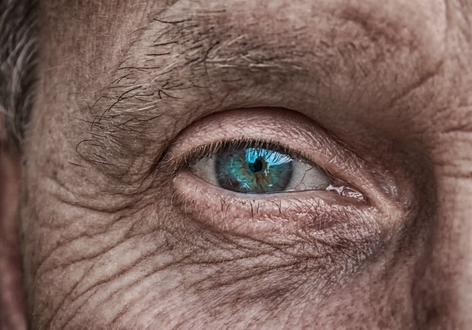 Canon EOS 550D (EOS Rebel T2i / EOS Kiss X4) sample photo. Skin, eye, iris photography