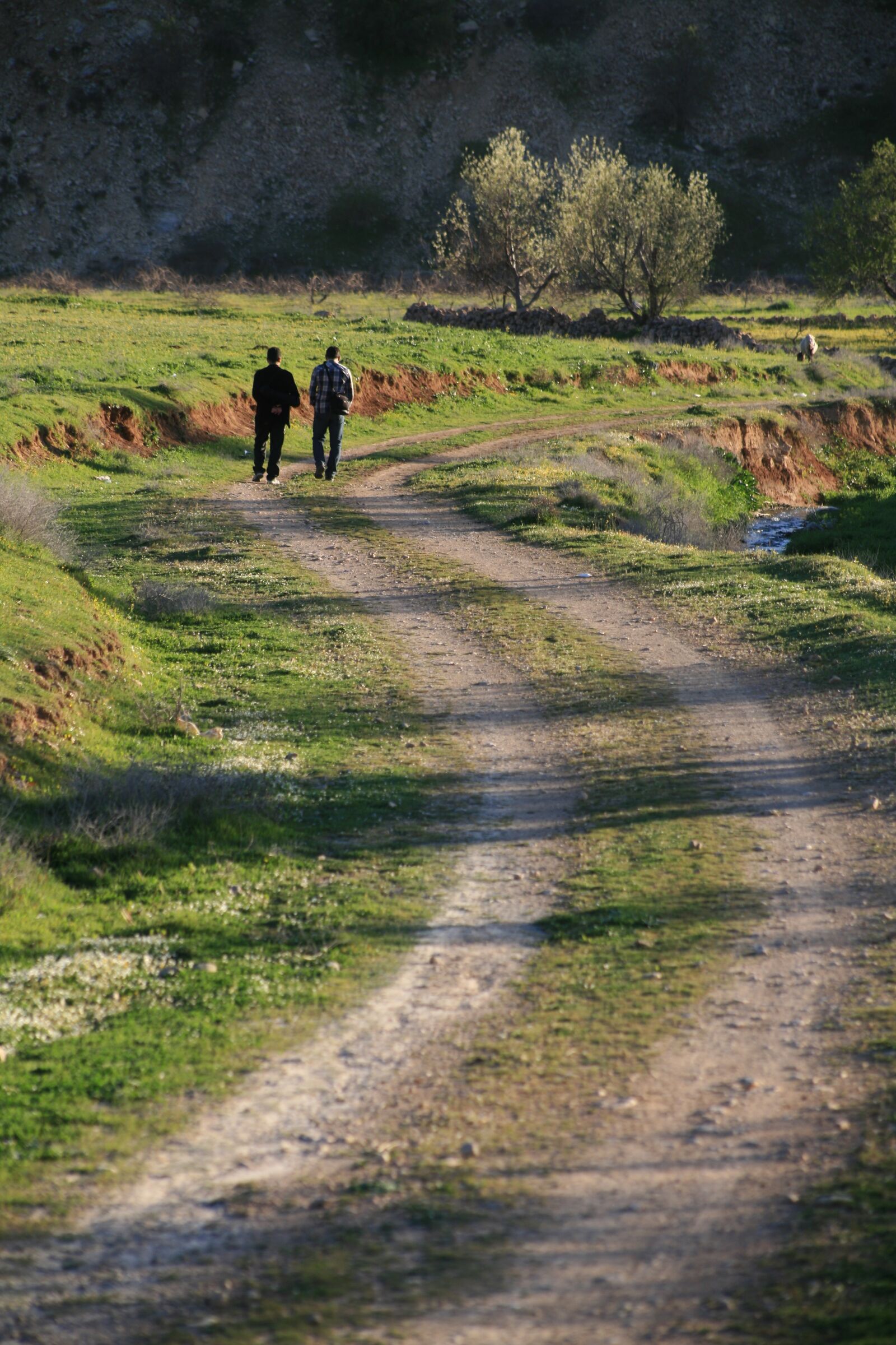 Canon EOS 5D sample photo. Road, human, nature photography