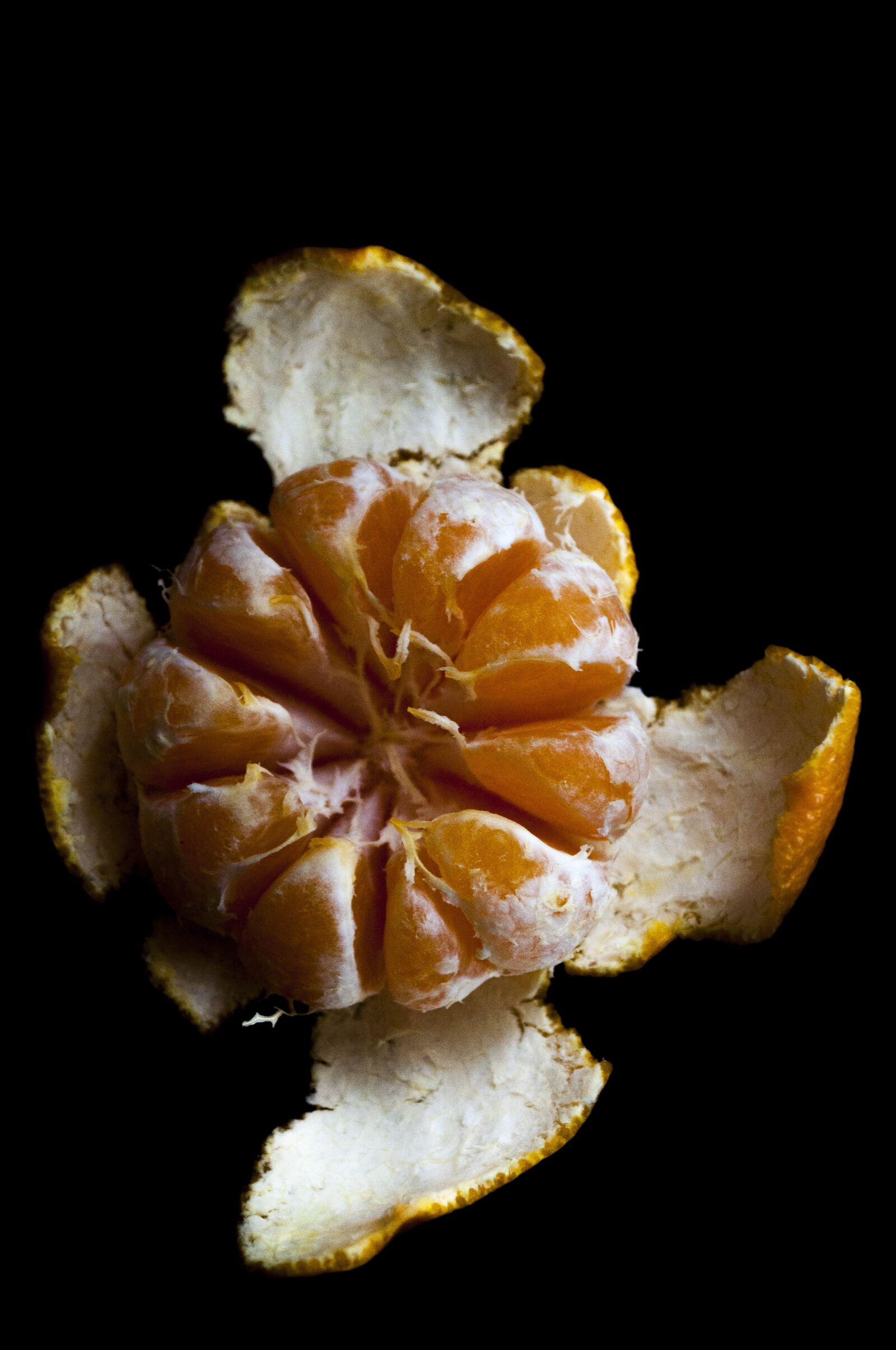 Nikon D5000 sample photo. Tangerine, food, fruit photography