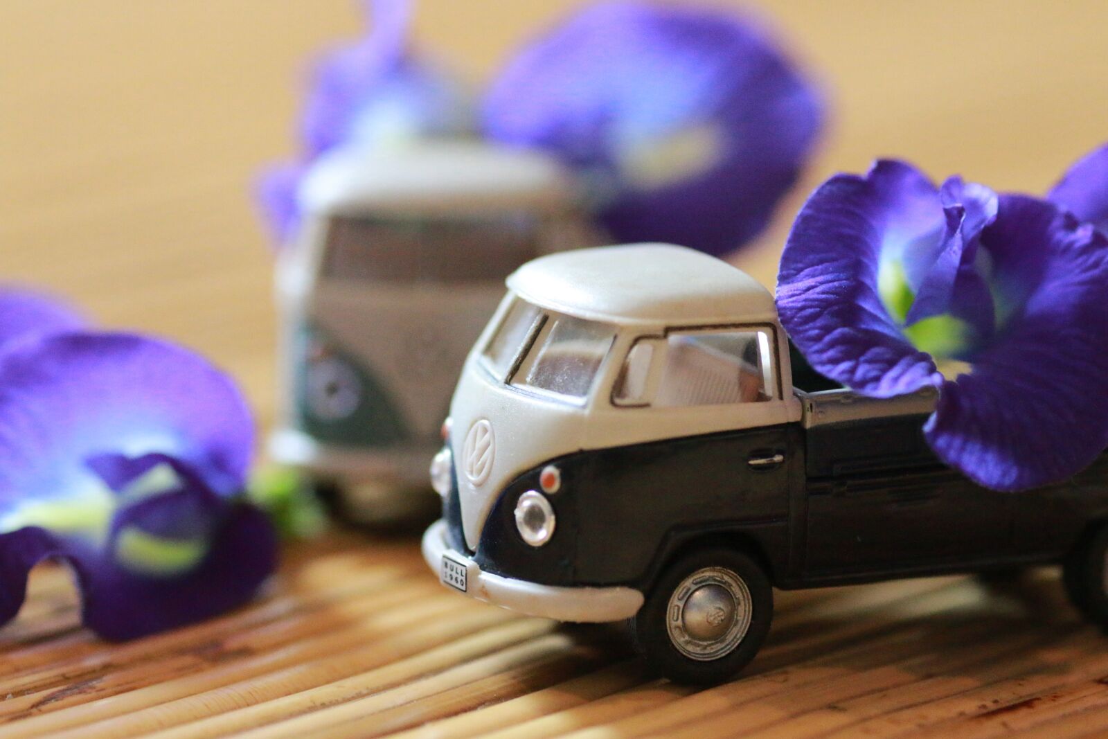 Canon EOS 70D sample photo. Model car, flower, indoor photography