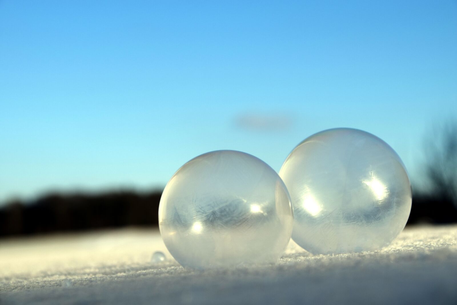 Nikon D3300 sample photo. Blow, soap bubbles, iridescent photography