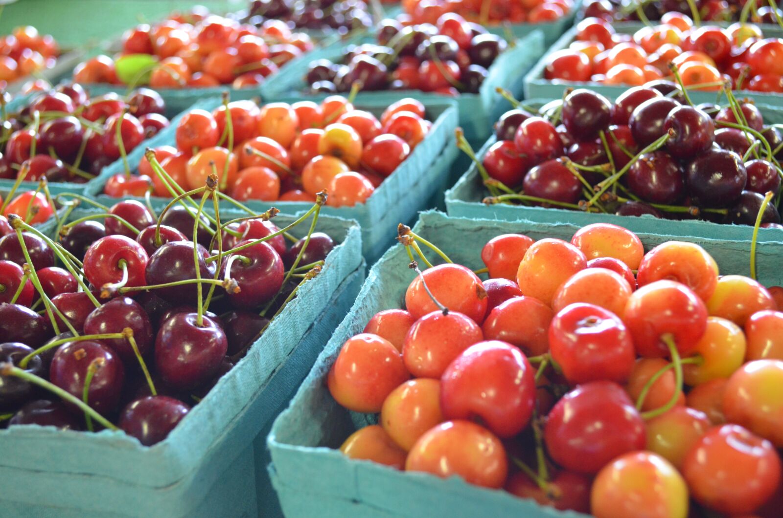Nikon D5100 sample photo. Cherry, farmers market, food photography