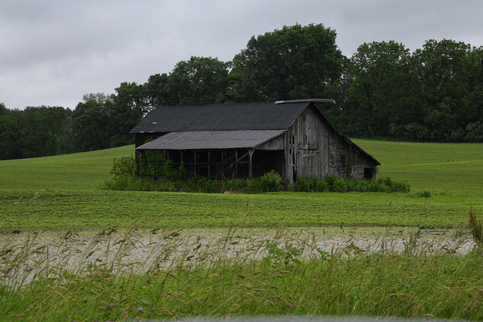 Nikon D850 sample photo. Barn, abandoned, vintage photography