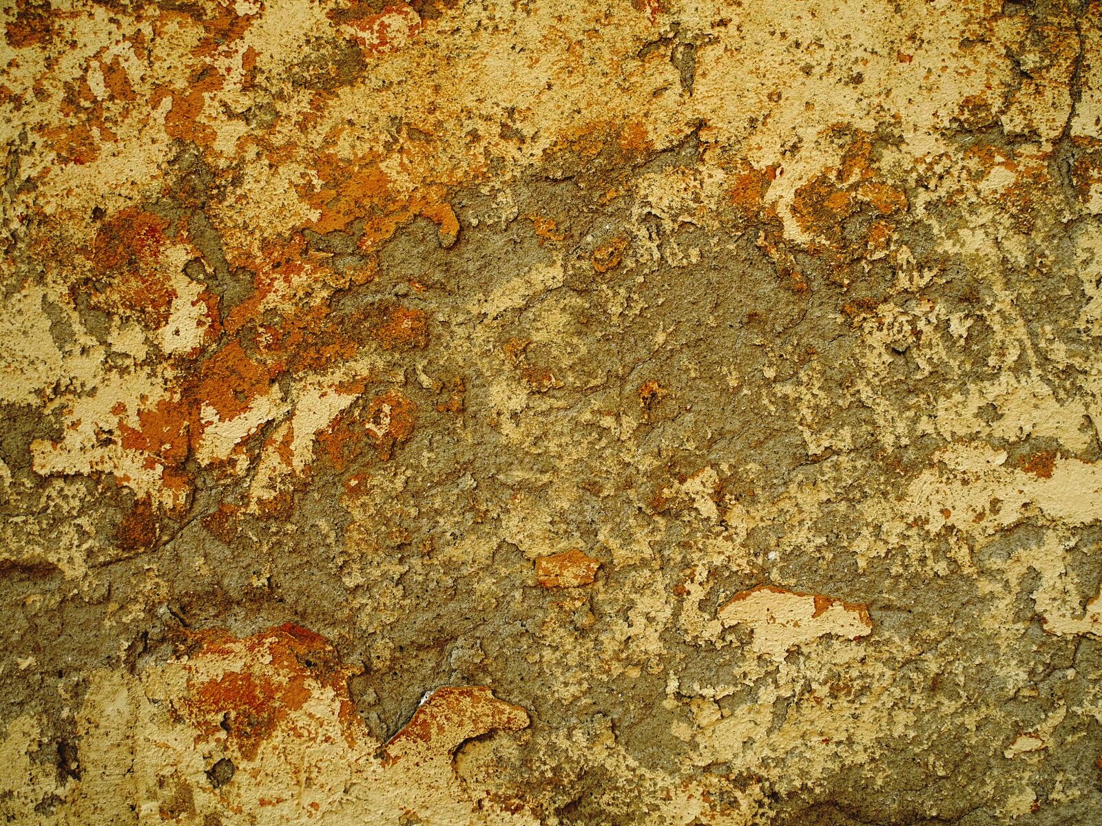 Nikon Coolpix P7000 sample photo. Plaster, old, texture photography