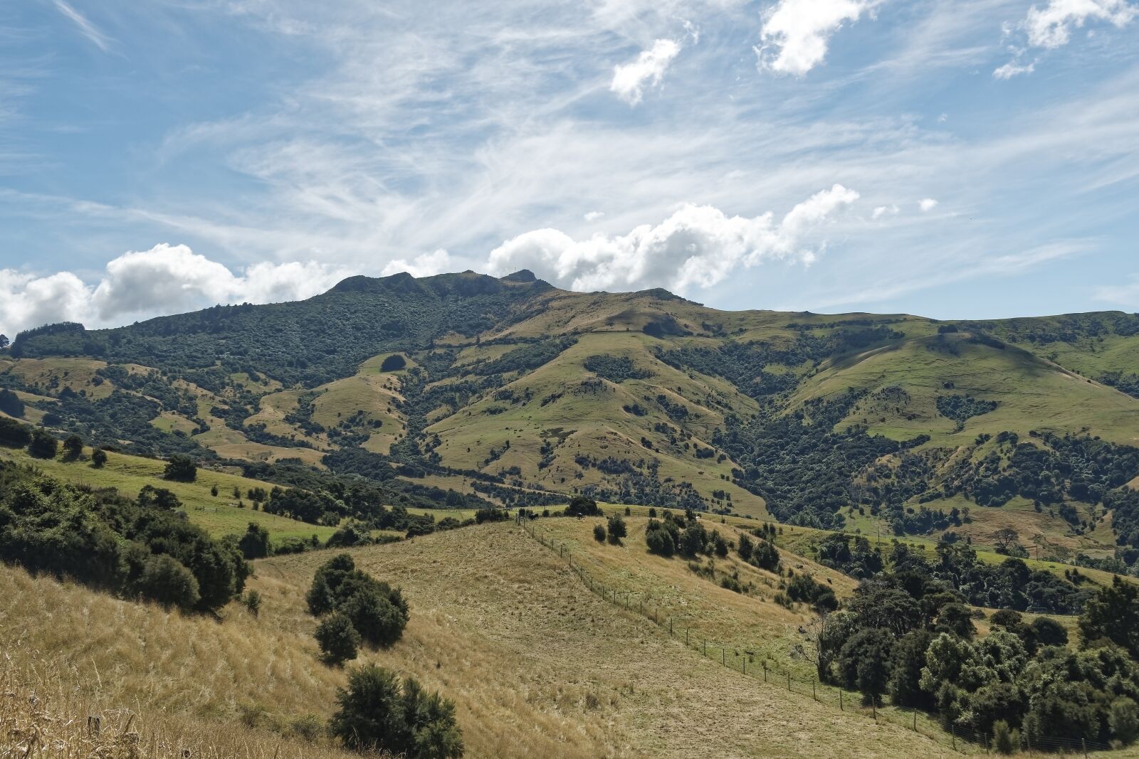 Nikon D500 sample photo. New zealand, banks peninsula photography
