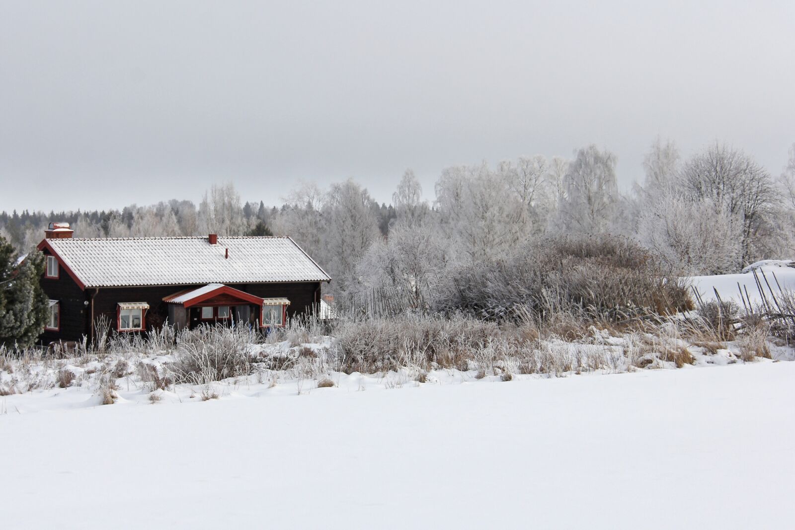 Canon EF-S 18-200mm F3.5-5.6 IS sample photo. All white, cover, snow photography