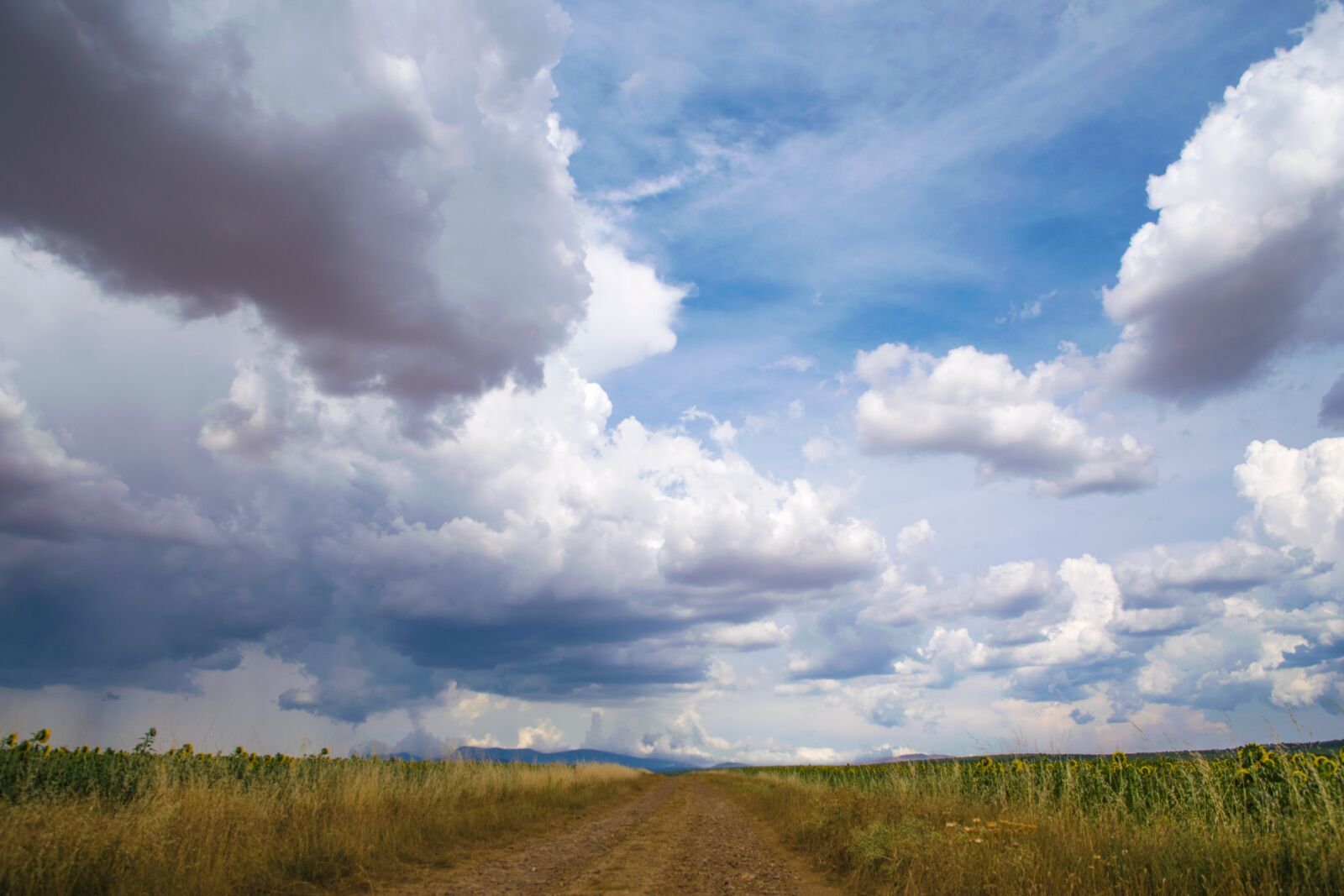 Nikon D5300 sample photo. Palencia, path, clouds photography