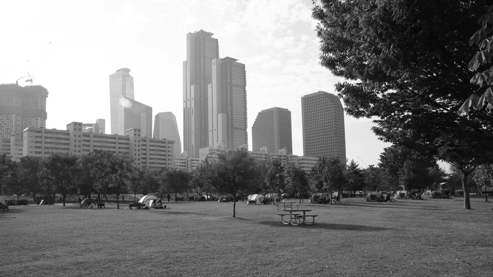 Canon EOS 50D sample photo. Yeouido hangang park in photography