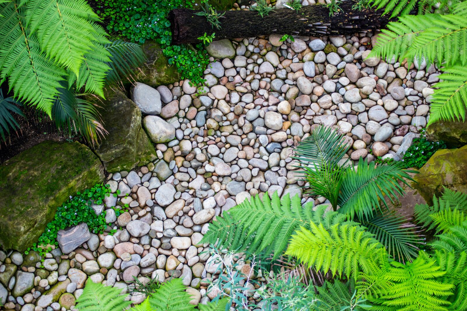 Tamron AF 55-200mm F4-5.6 Di II LD Macro sample photo. Stones, leaves, nature photography