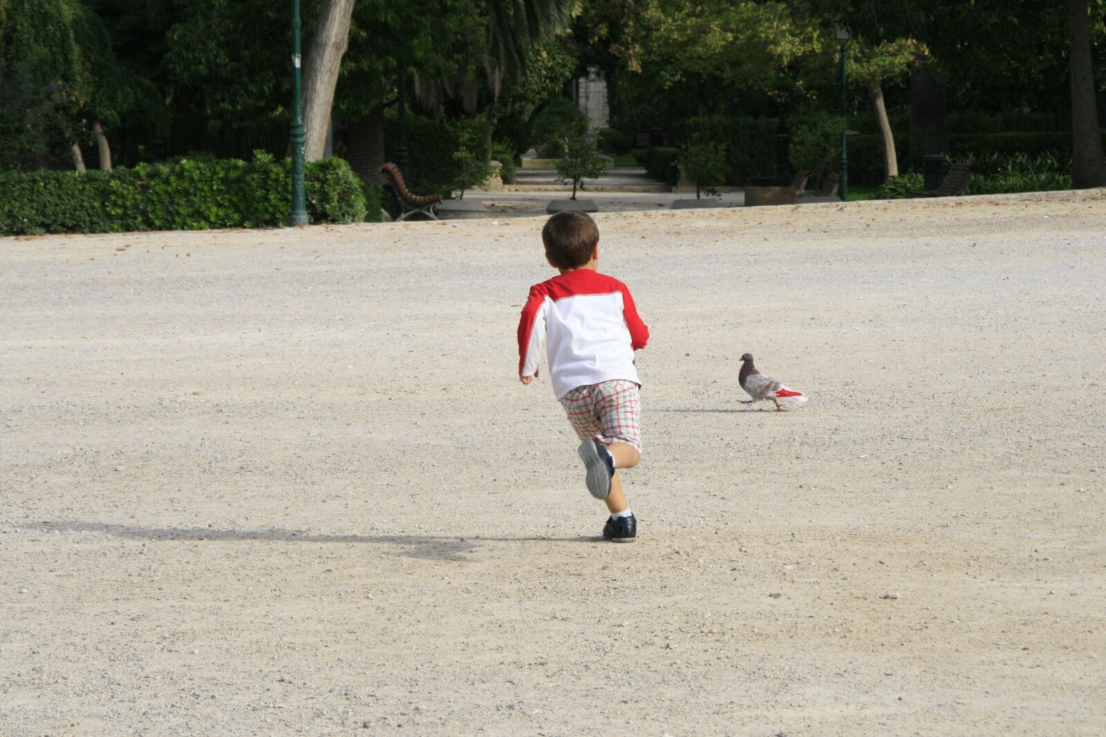 Canon EOS 400D (EOS Digital Rebel XTi / EOS Kiss Digital X) sample photo. Child, race, game photography