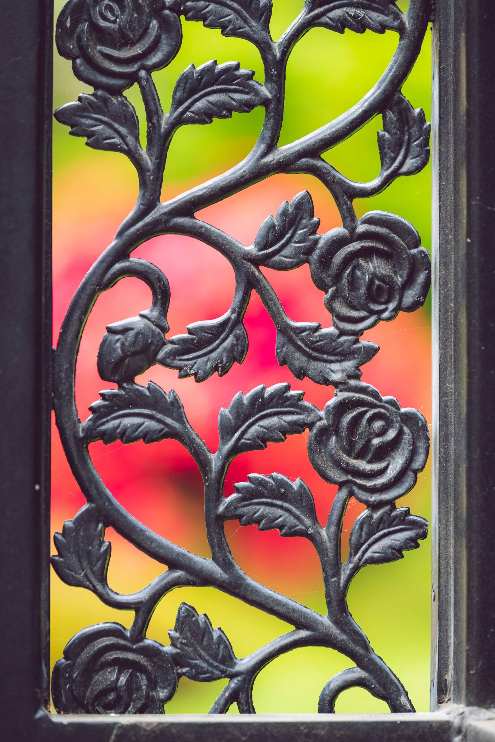Nikon D750 sample photo. Roses, metal, iron photography