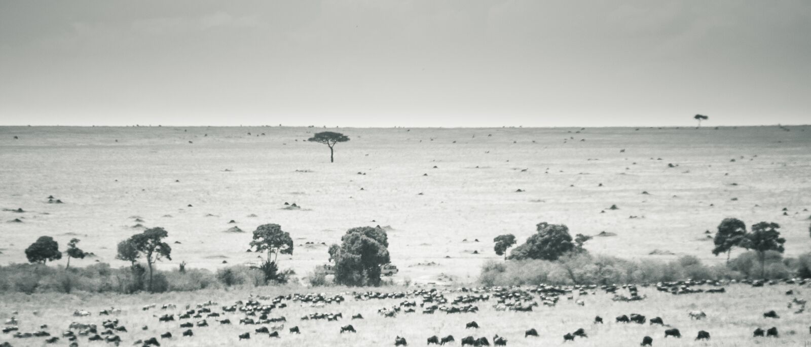 Nikon D7200 sample photo. Maasai mara, kenya, landscape photography
